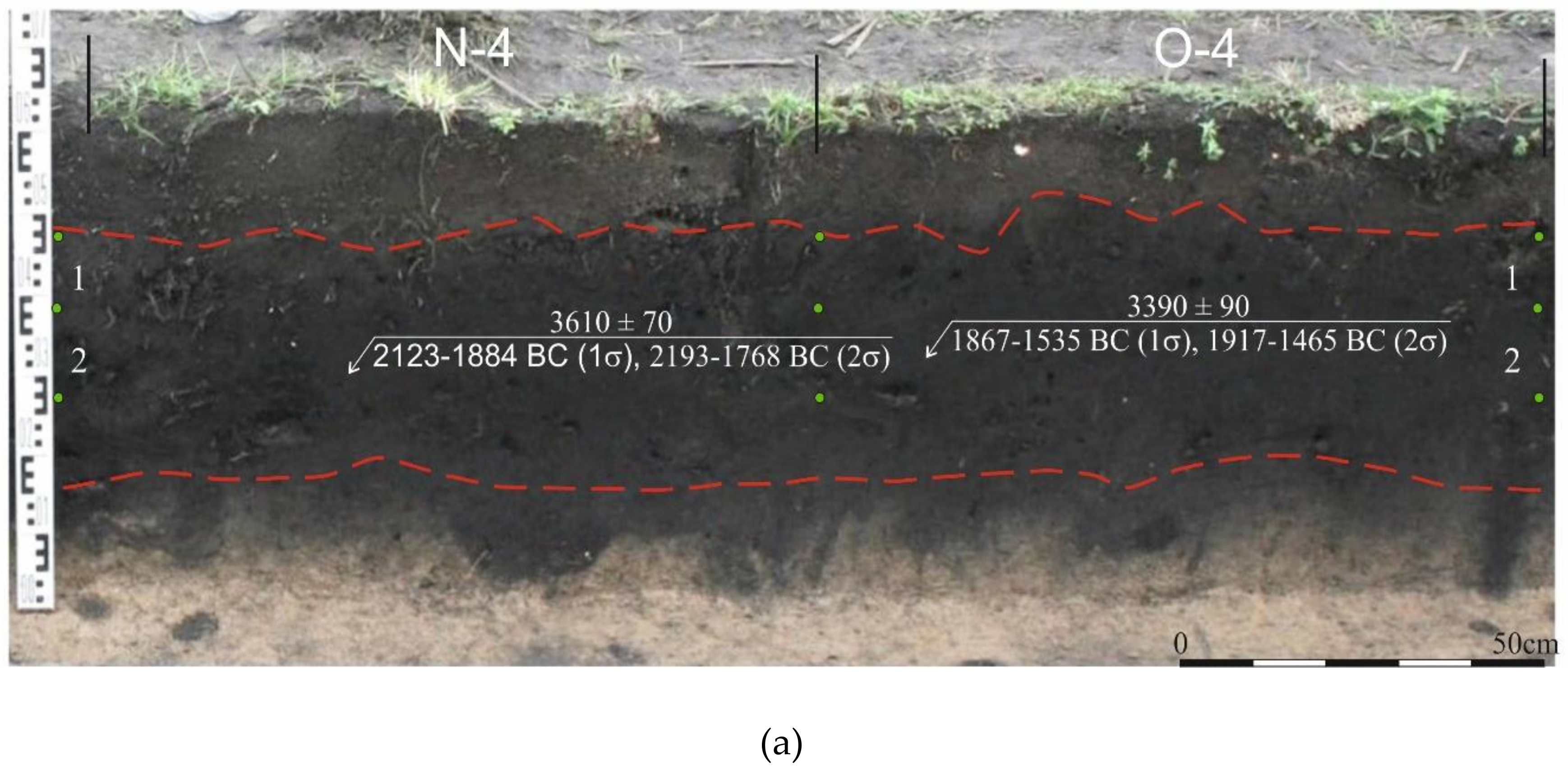 Minerals 10 00607 g005a
