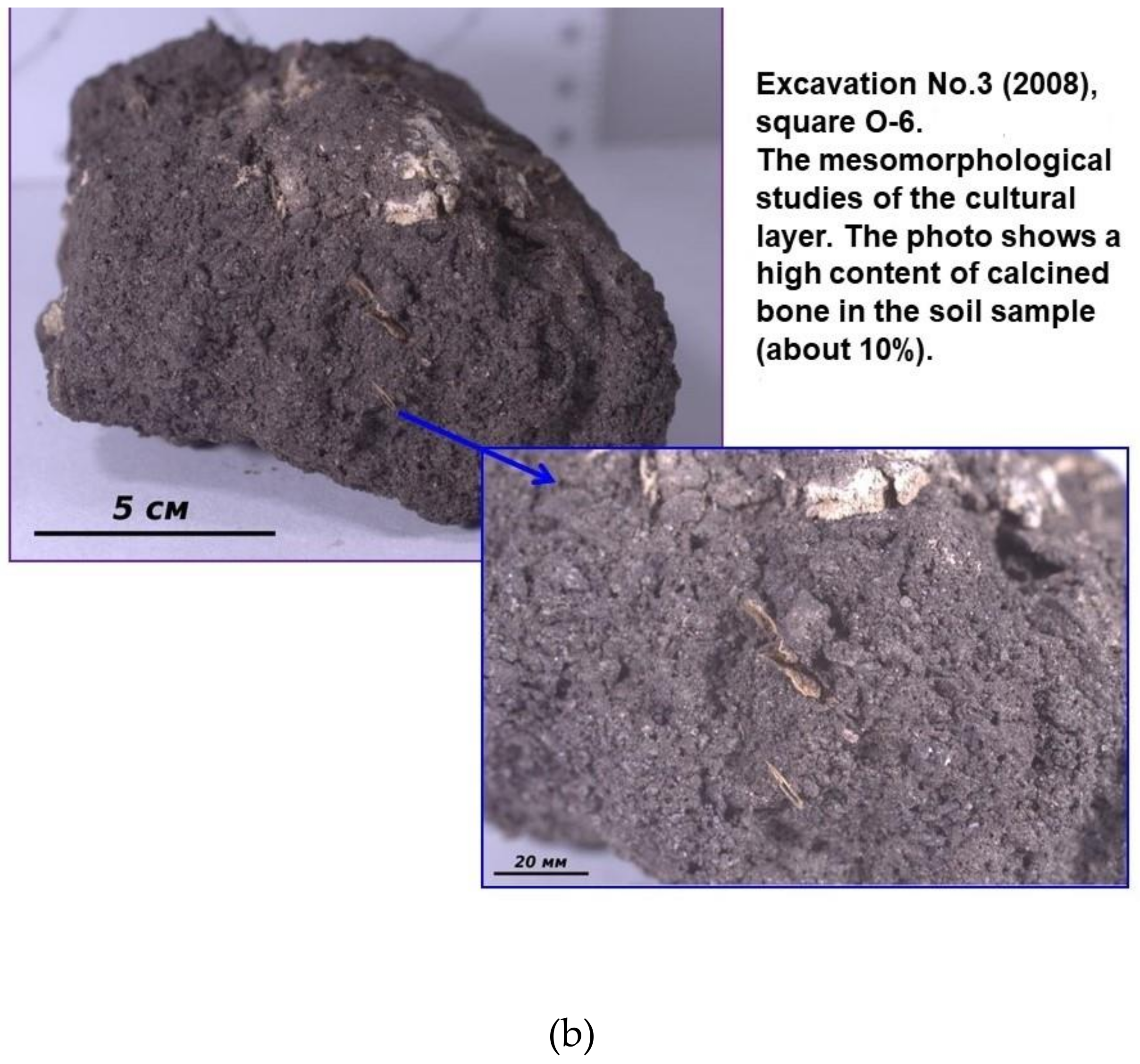 Minerals 10 00607 g005b