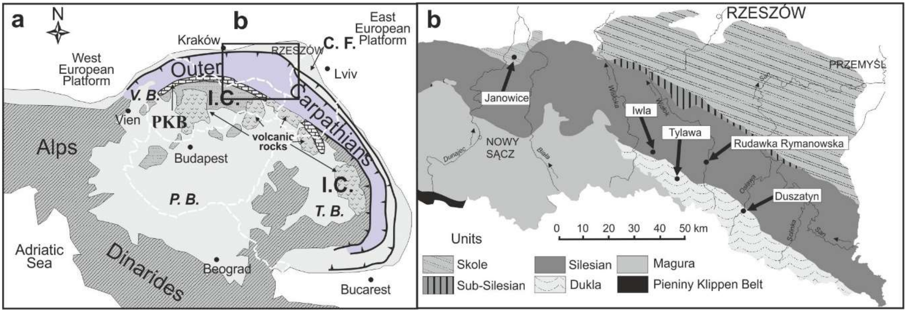 Minerals 10 00616 g001