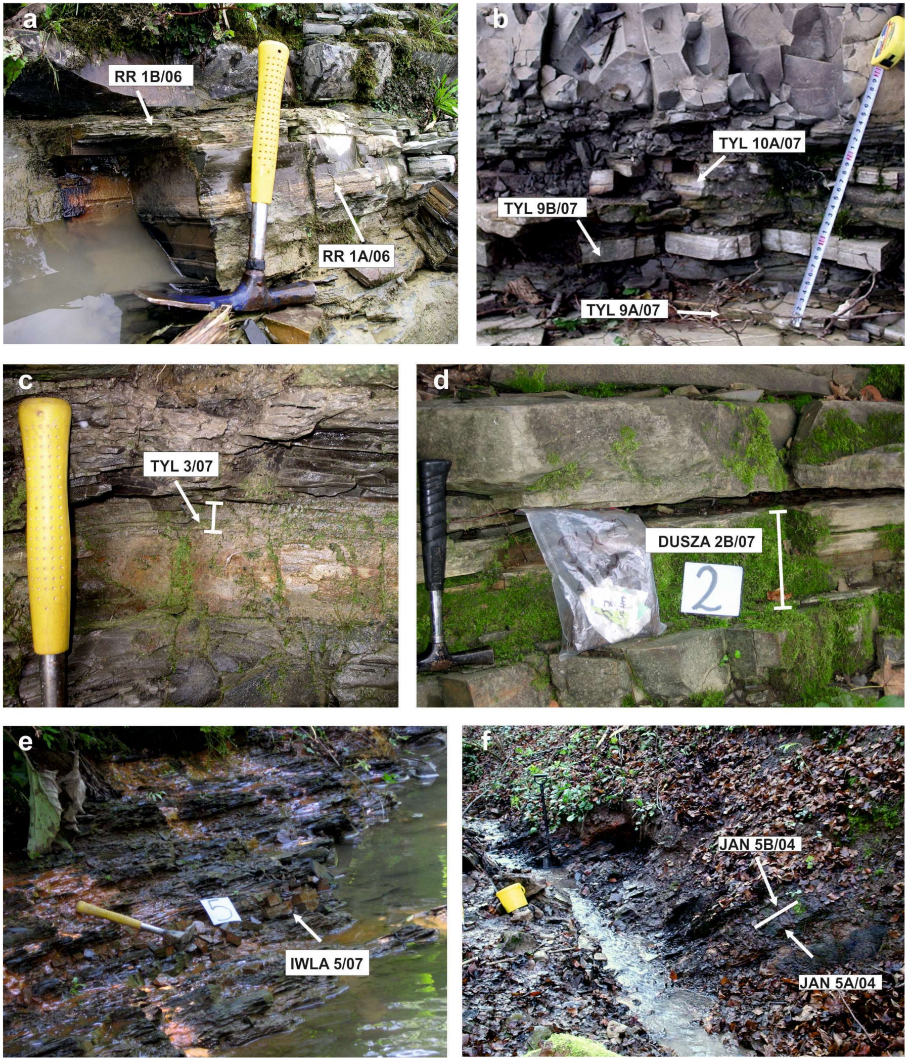 Minerals 10 00616 g003