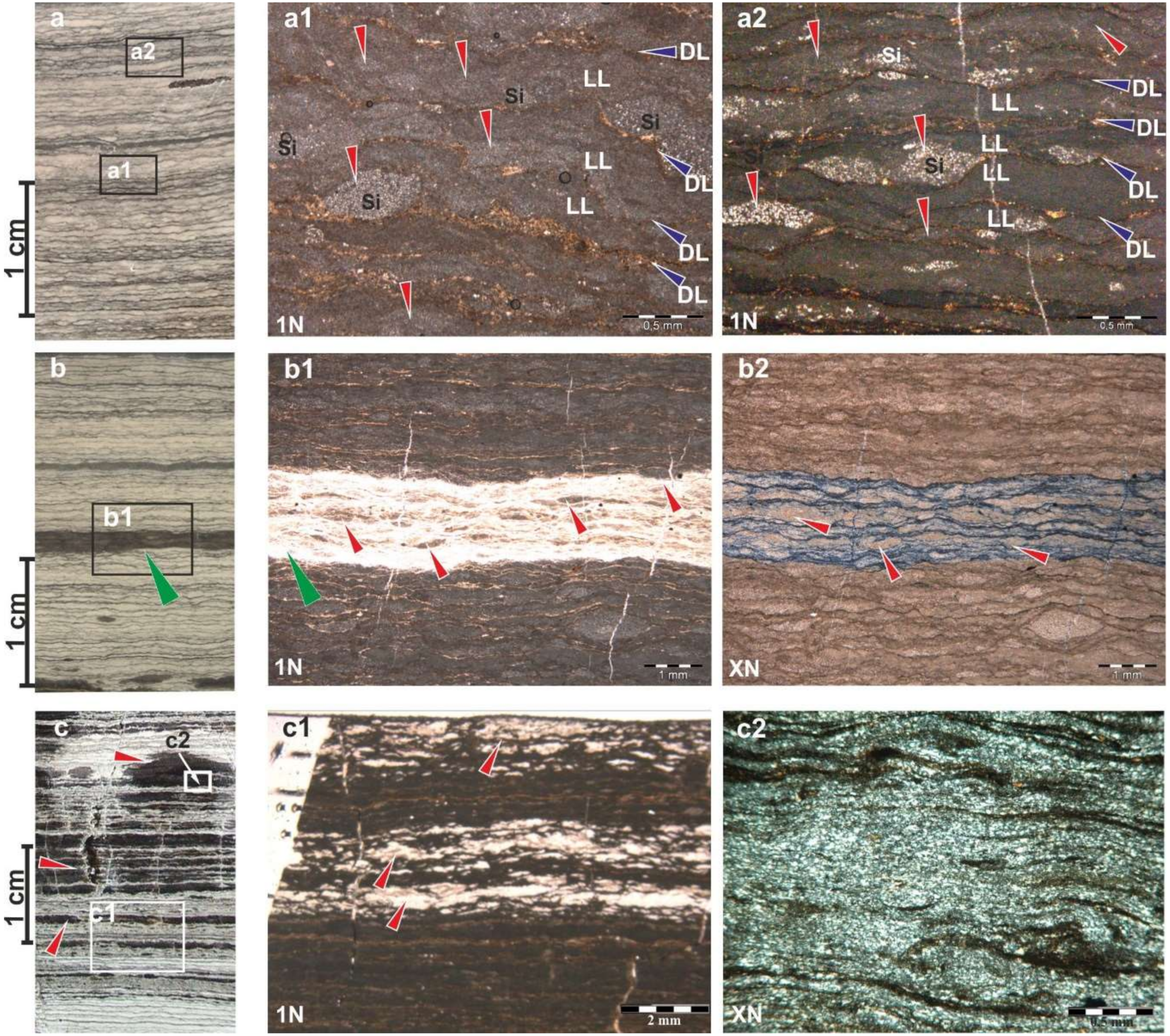Minerals 10 00616 g004