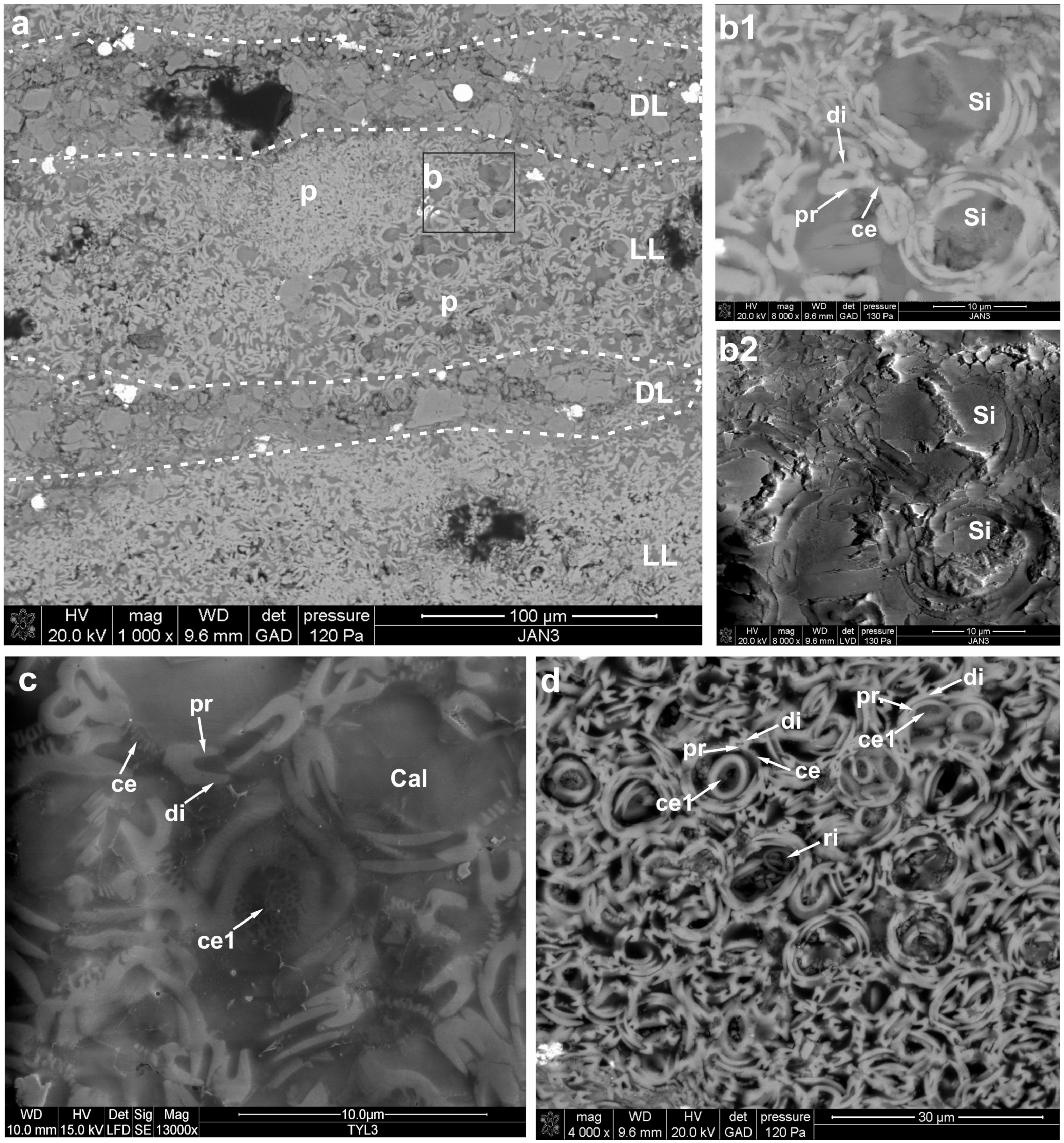 Minerals 10 00616 g005