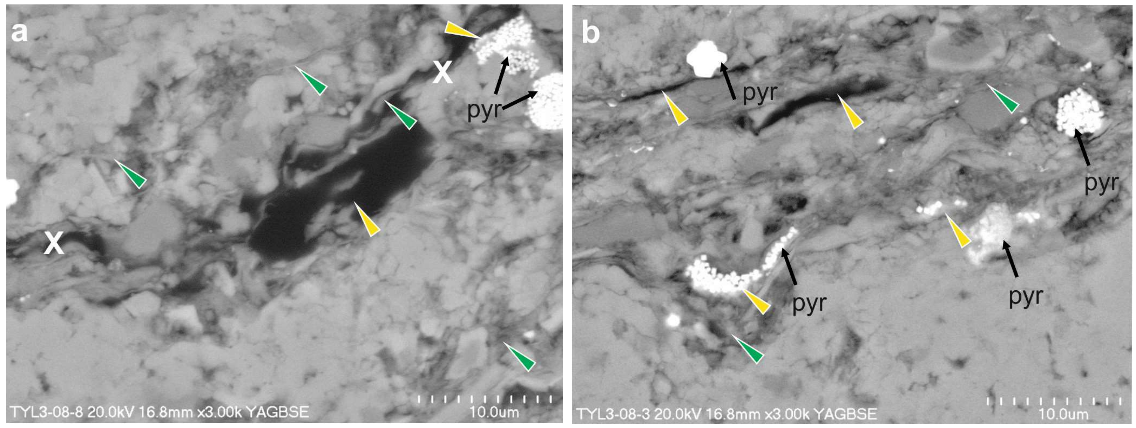 Minerals 10 00616 g007