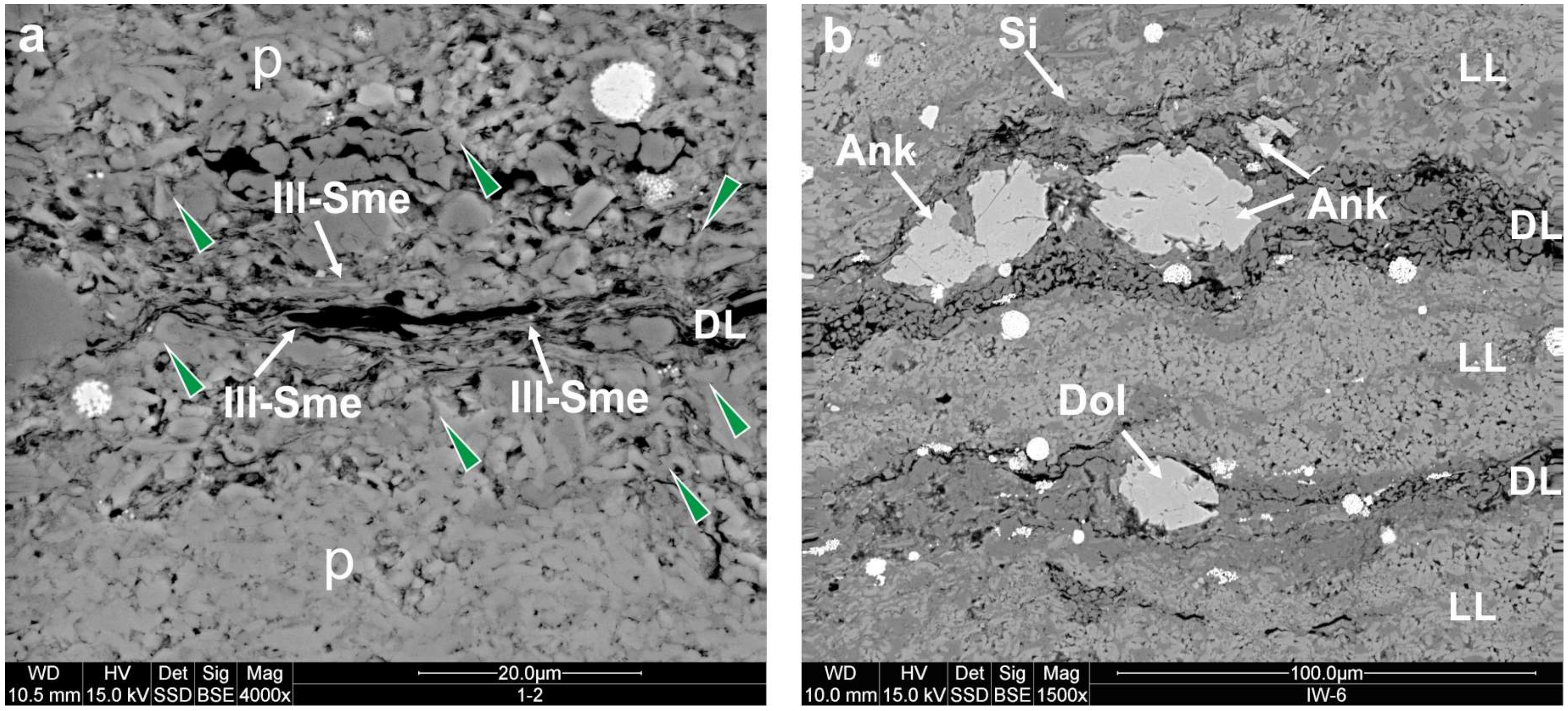 Minerals 10 00616 g010