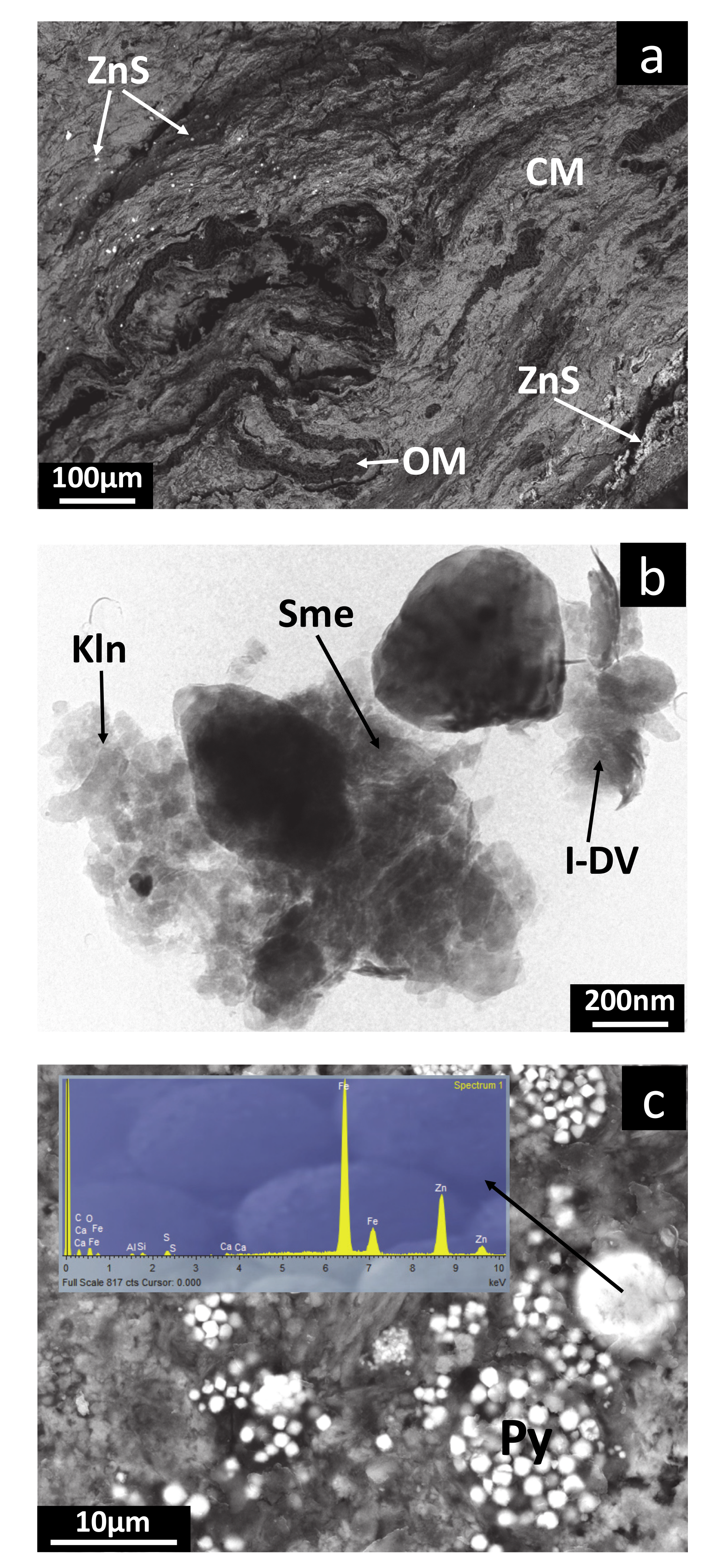 Minerals 10 00673 g003 Minerals 10 00673 g003