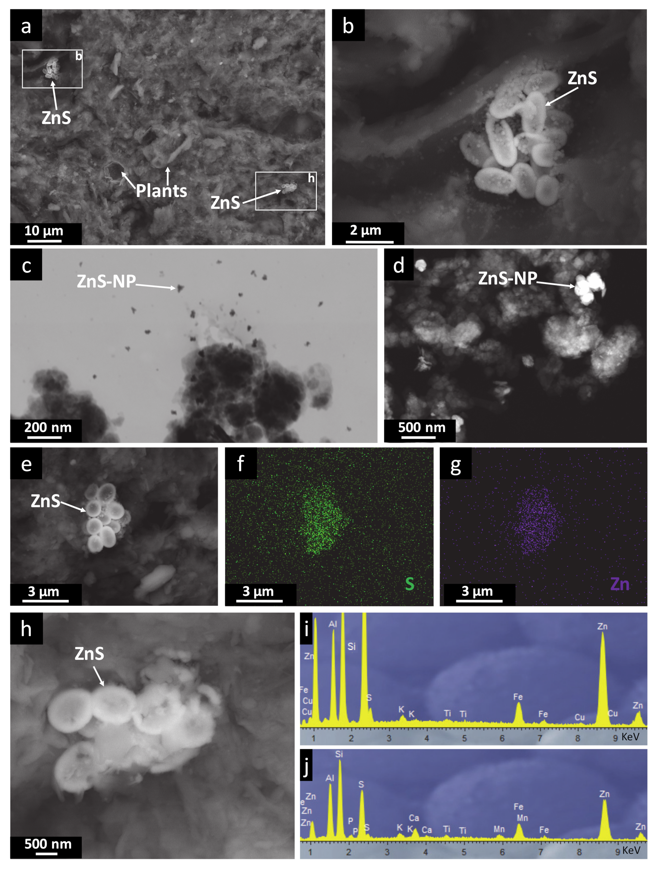 Minerals 10 00673 g004 Minerals 10 00673 g004