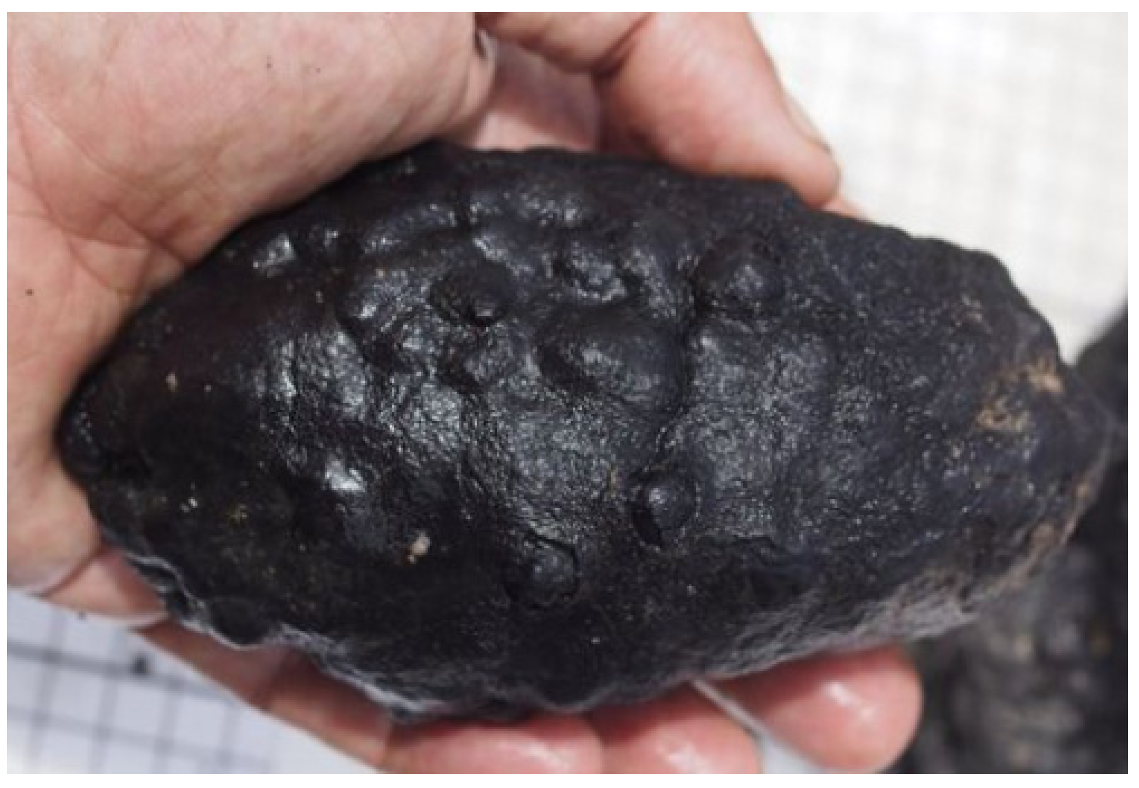 Minerals 10 00674 g001