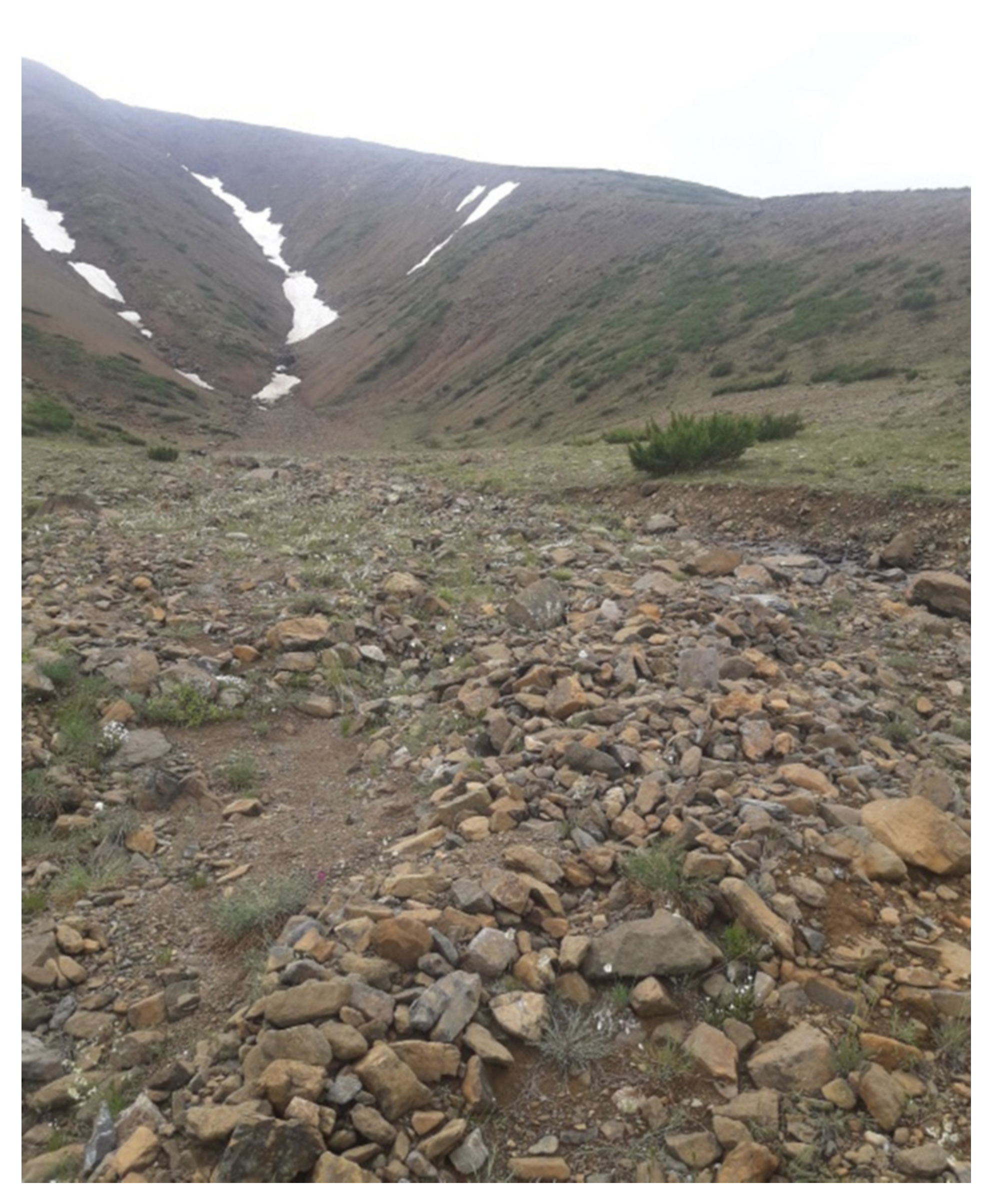 Minerals 10 00682 g003 Minerals 10 00682 g003