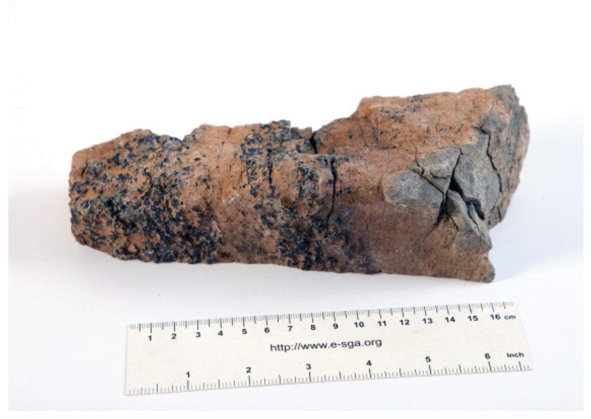 Minerals 10 00682 g004 Minerals 10 00682 g004