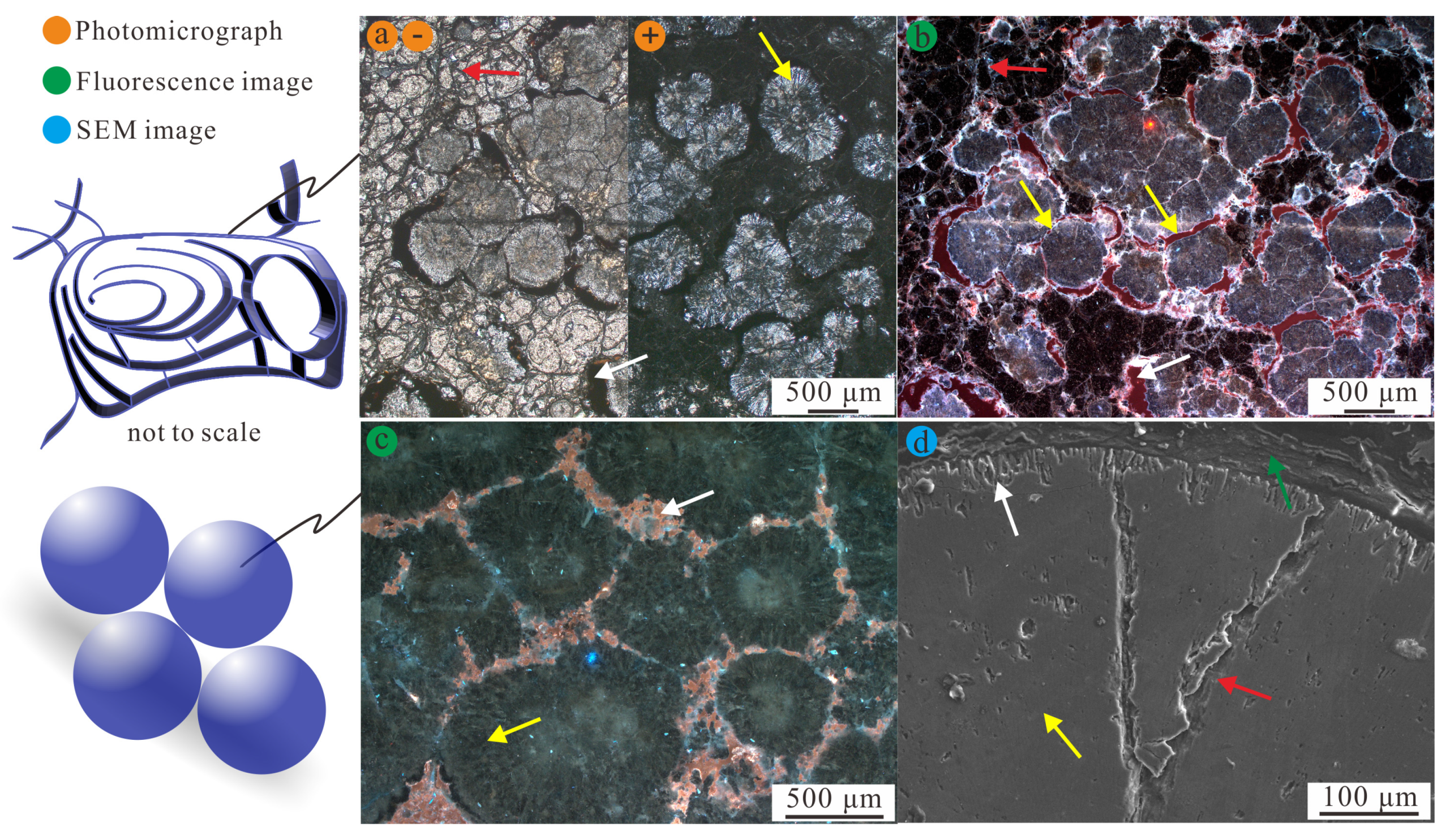 Minerals 10 00699 g004 Minerals 10 00699 g004