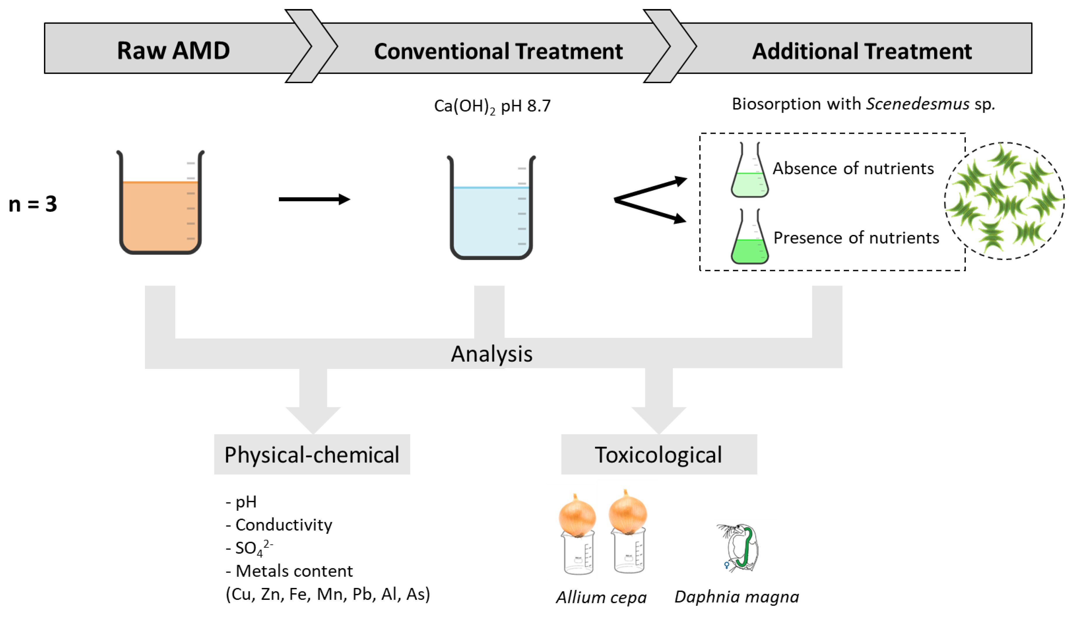 Minerals 10 00711 g001