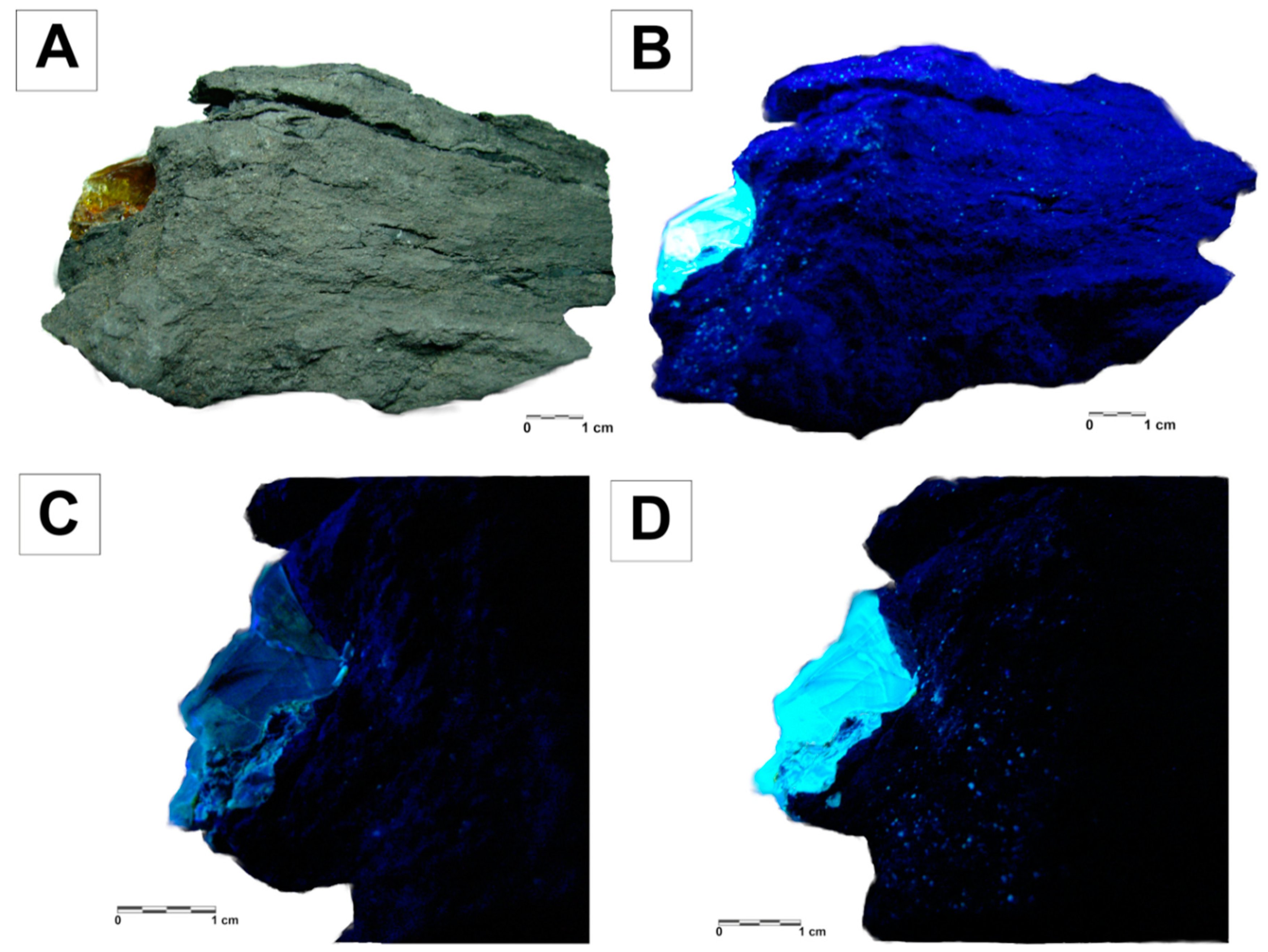 Minerals 10 00736 g003 Minerals 10 00736 g003