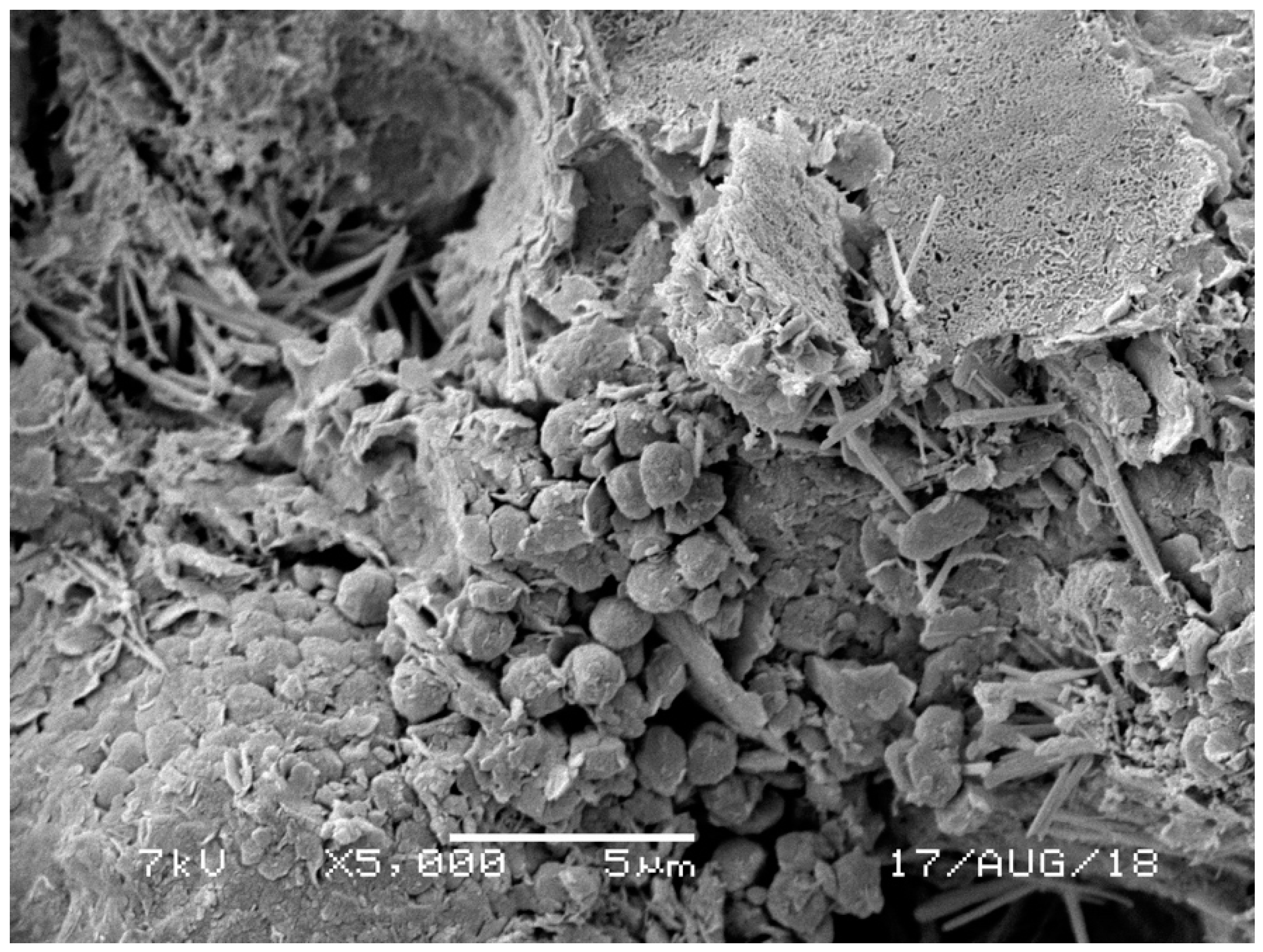 Minerals 10 00796 g015