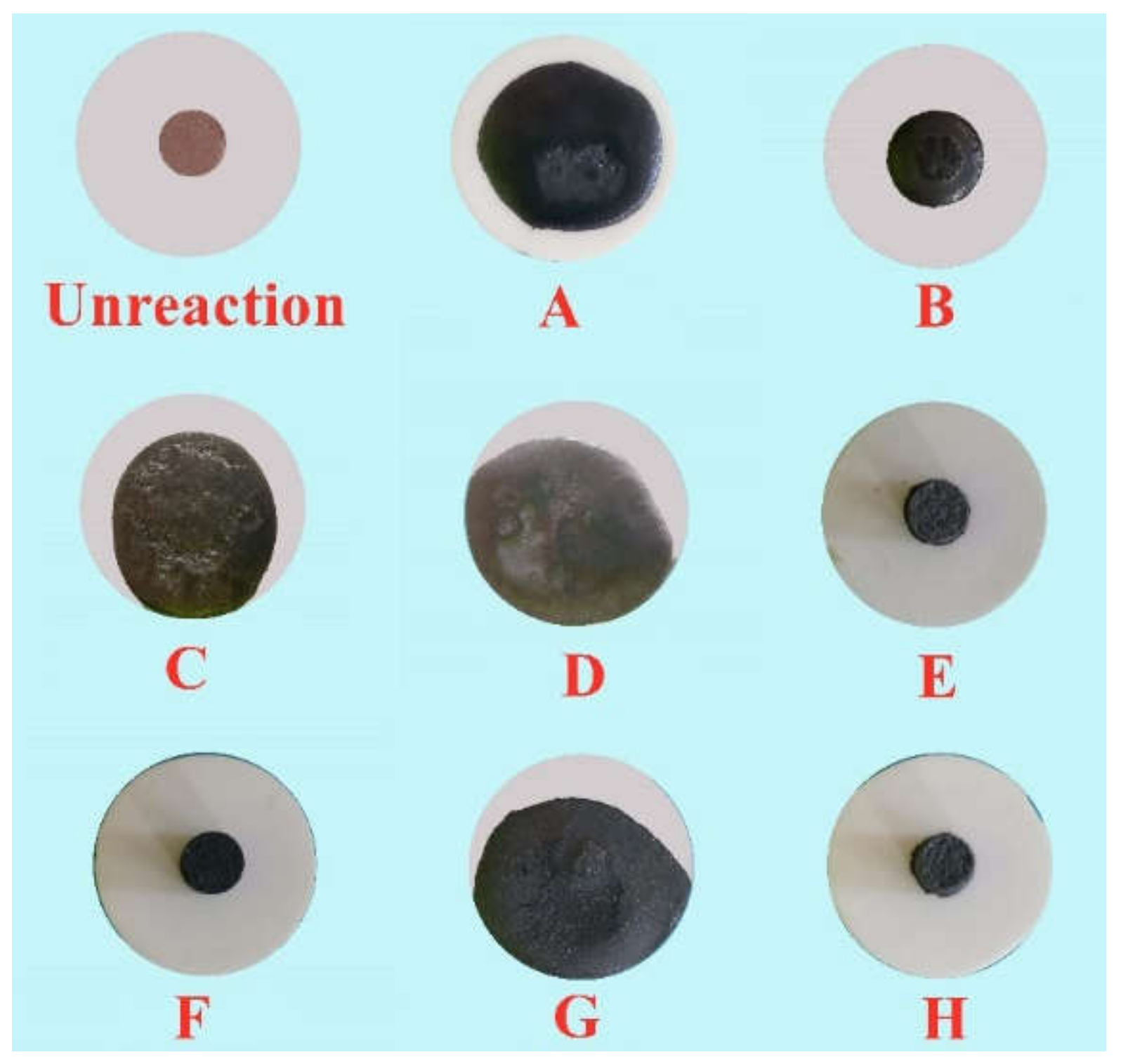 Minerals 10 00802 g006