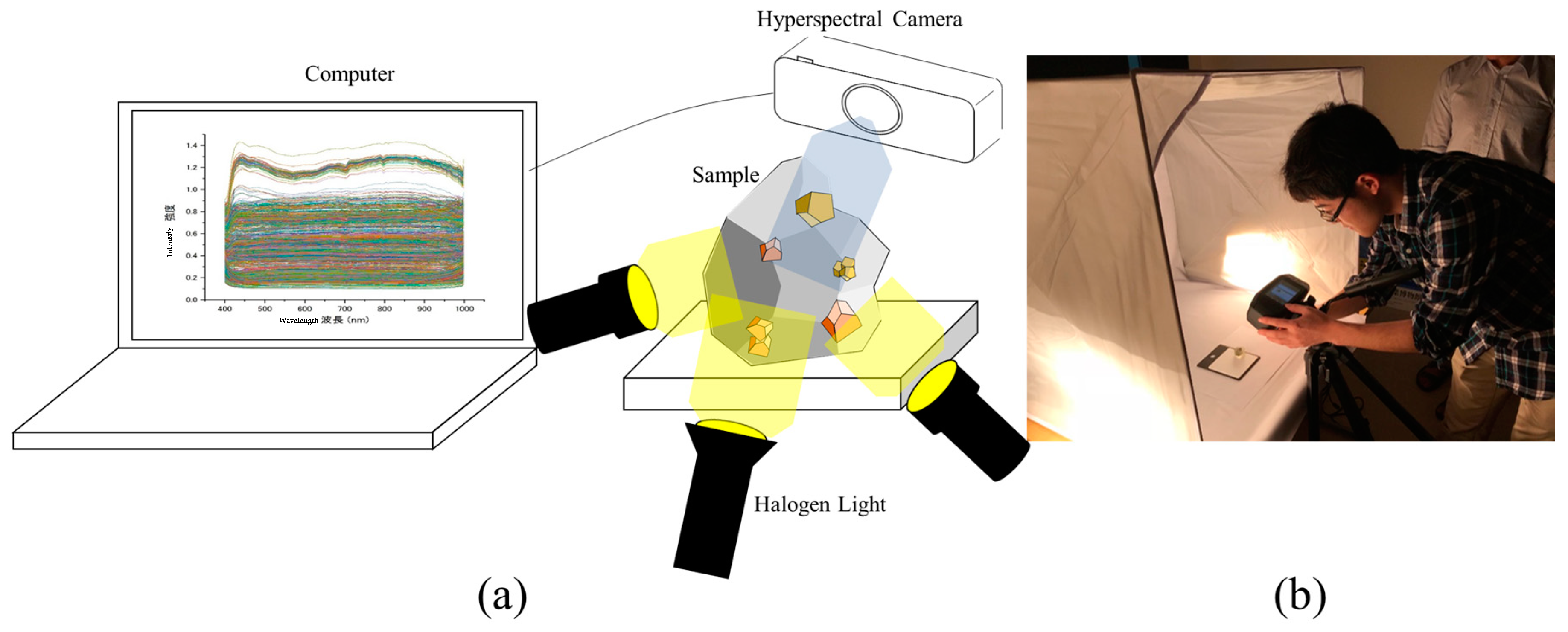 Minerals 10 00809 g006
