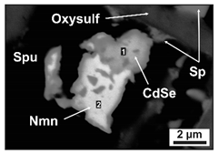 Minerals 10 00822 i006 Minerals 10 00822 i006