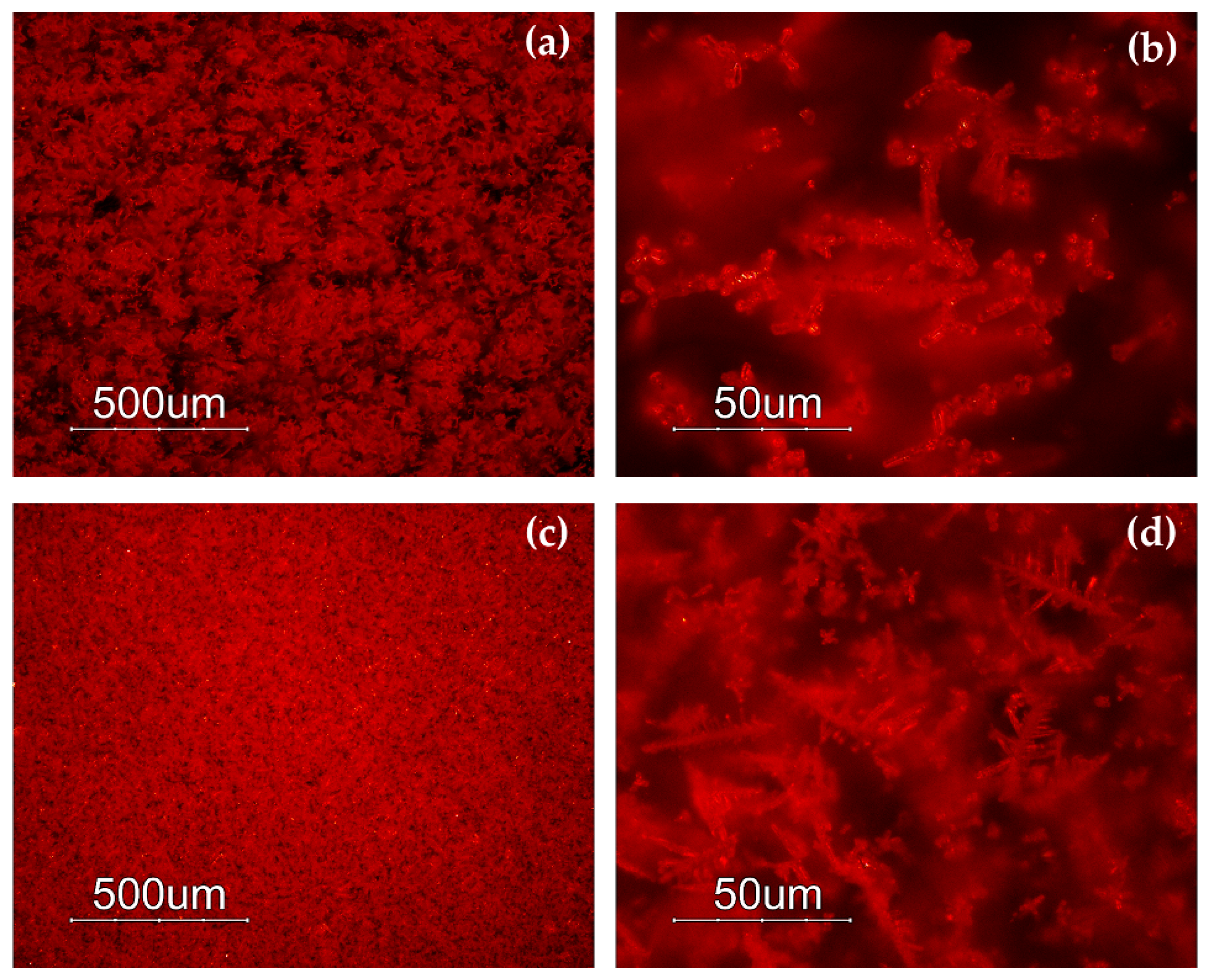 Minerals 10 00875 g004