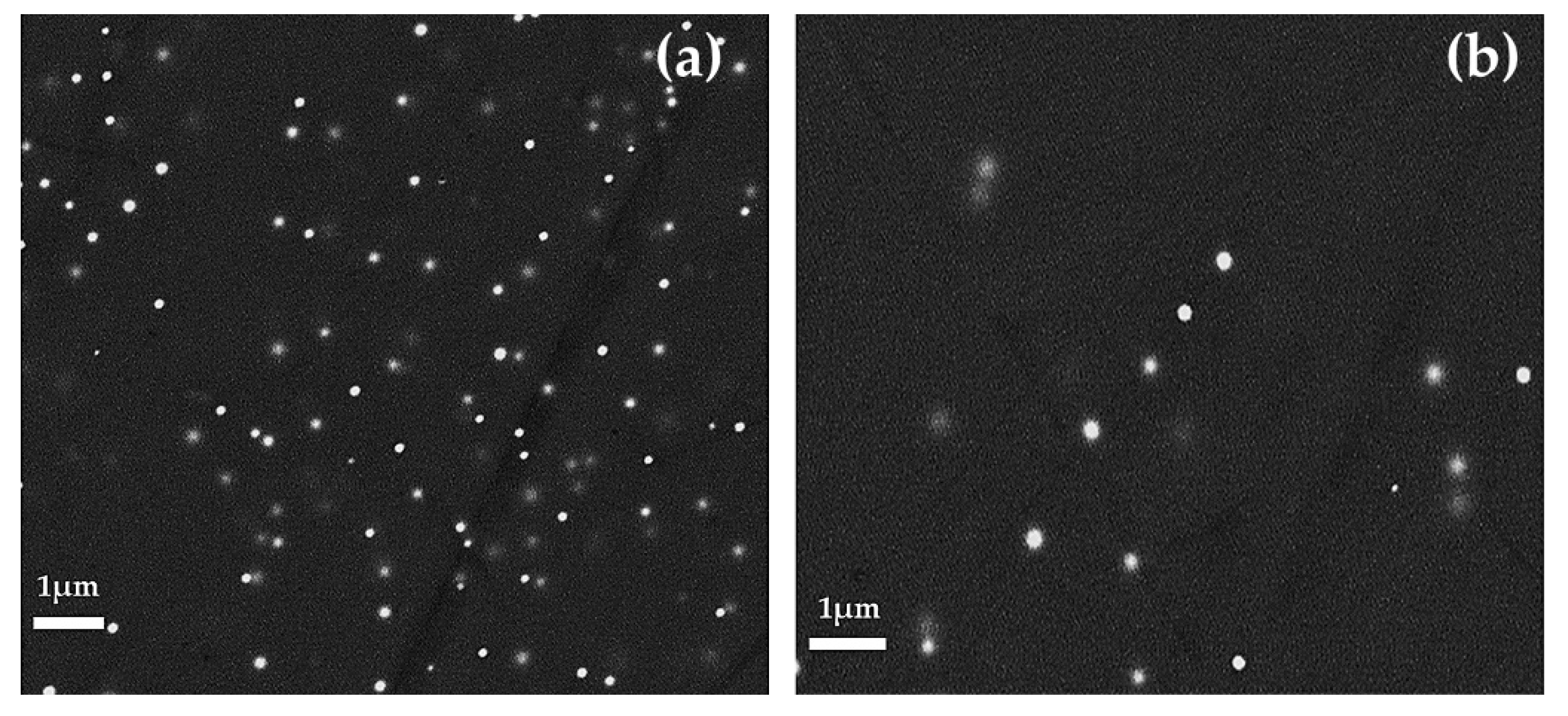 Minerals 10 00875 g013