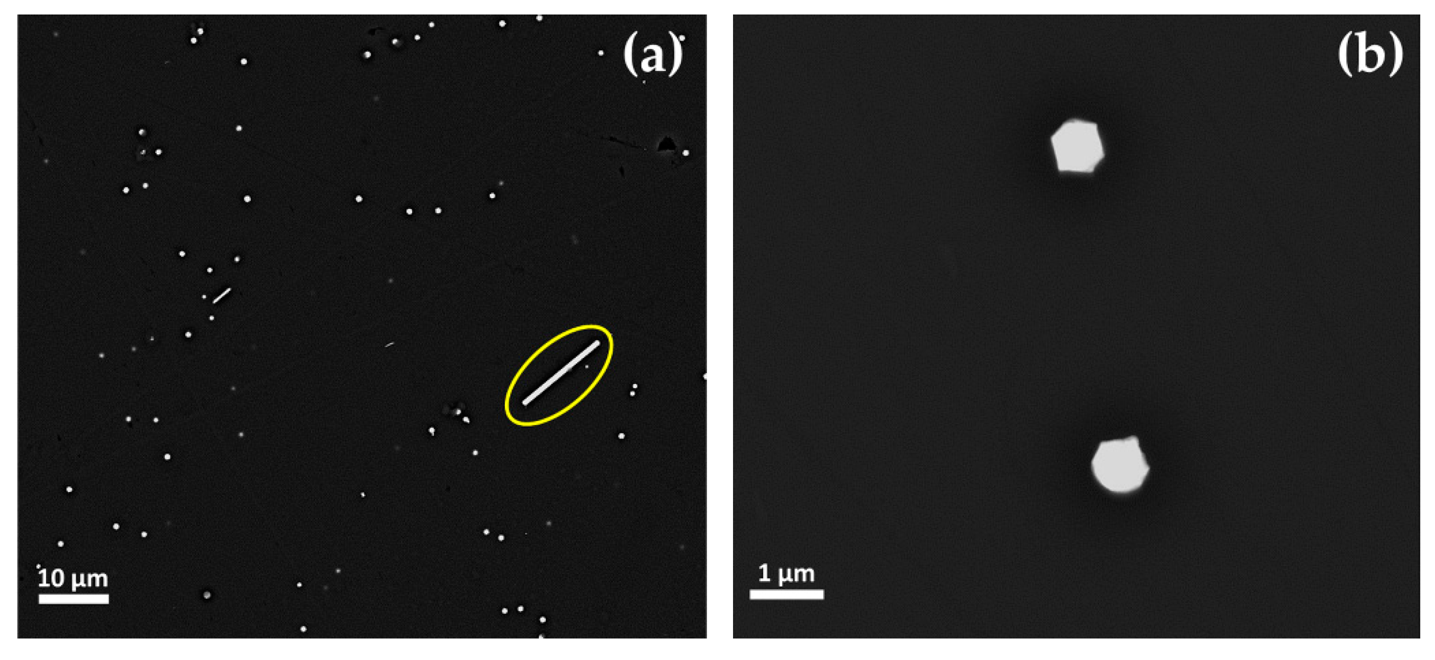 Minerals 10 00875 g014