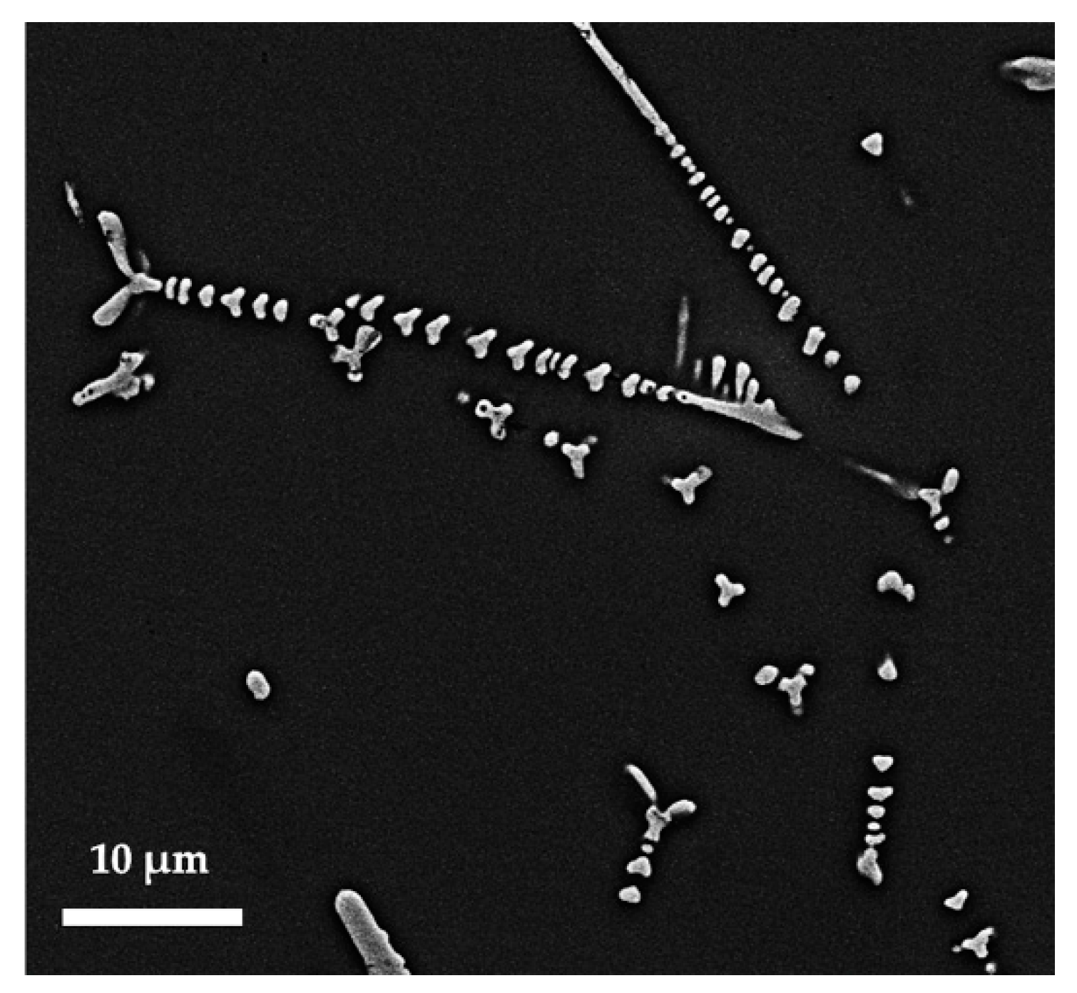 Minerals 10 00875 g016