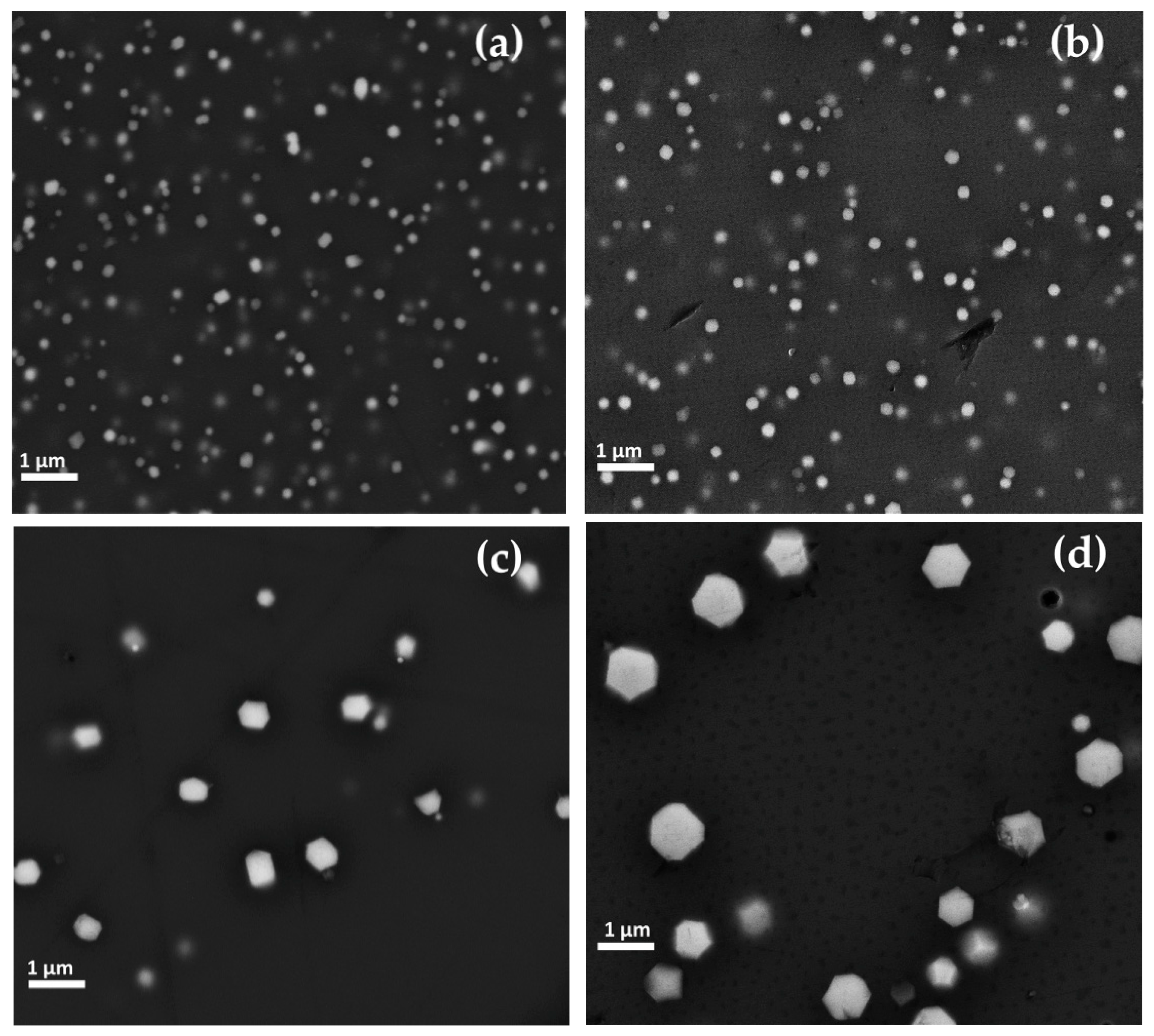 Minerals 10 00875 g017