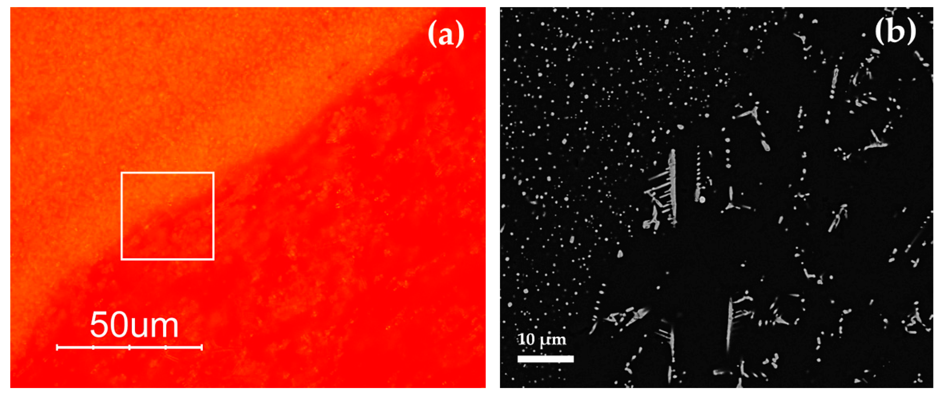 Minerals 10 00875 g018