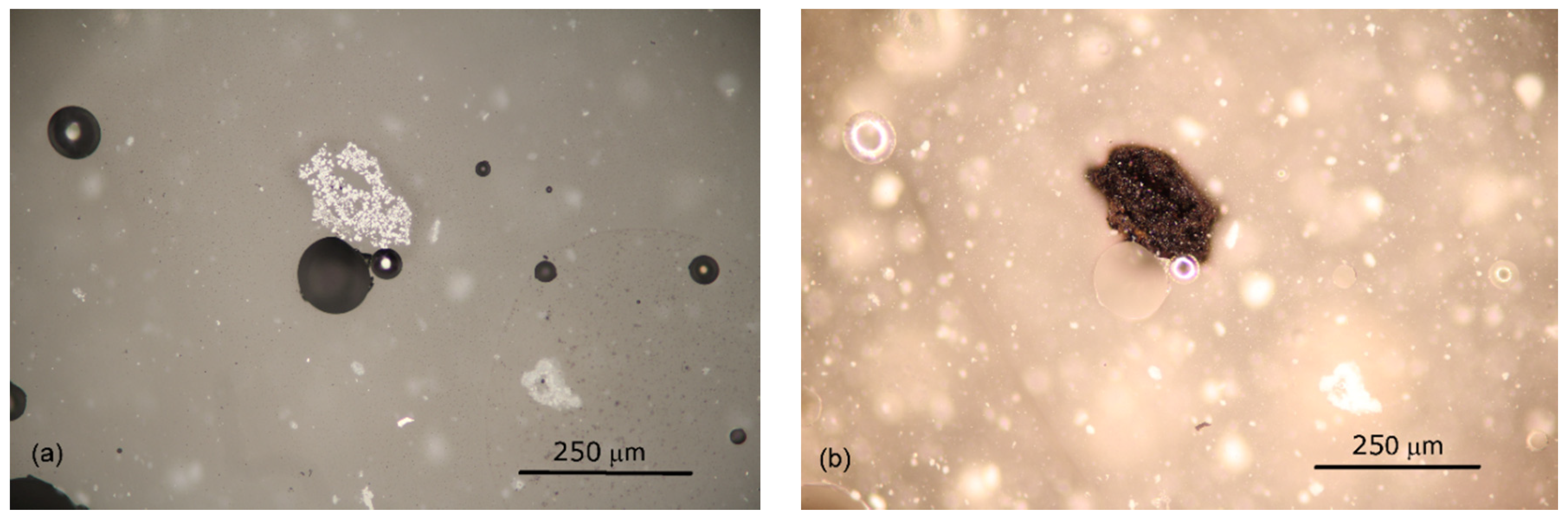 Minerals 10 00881 g002