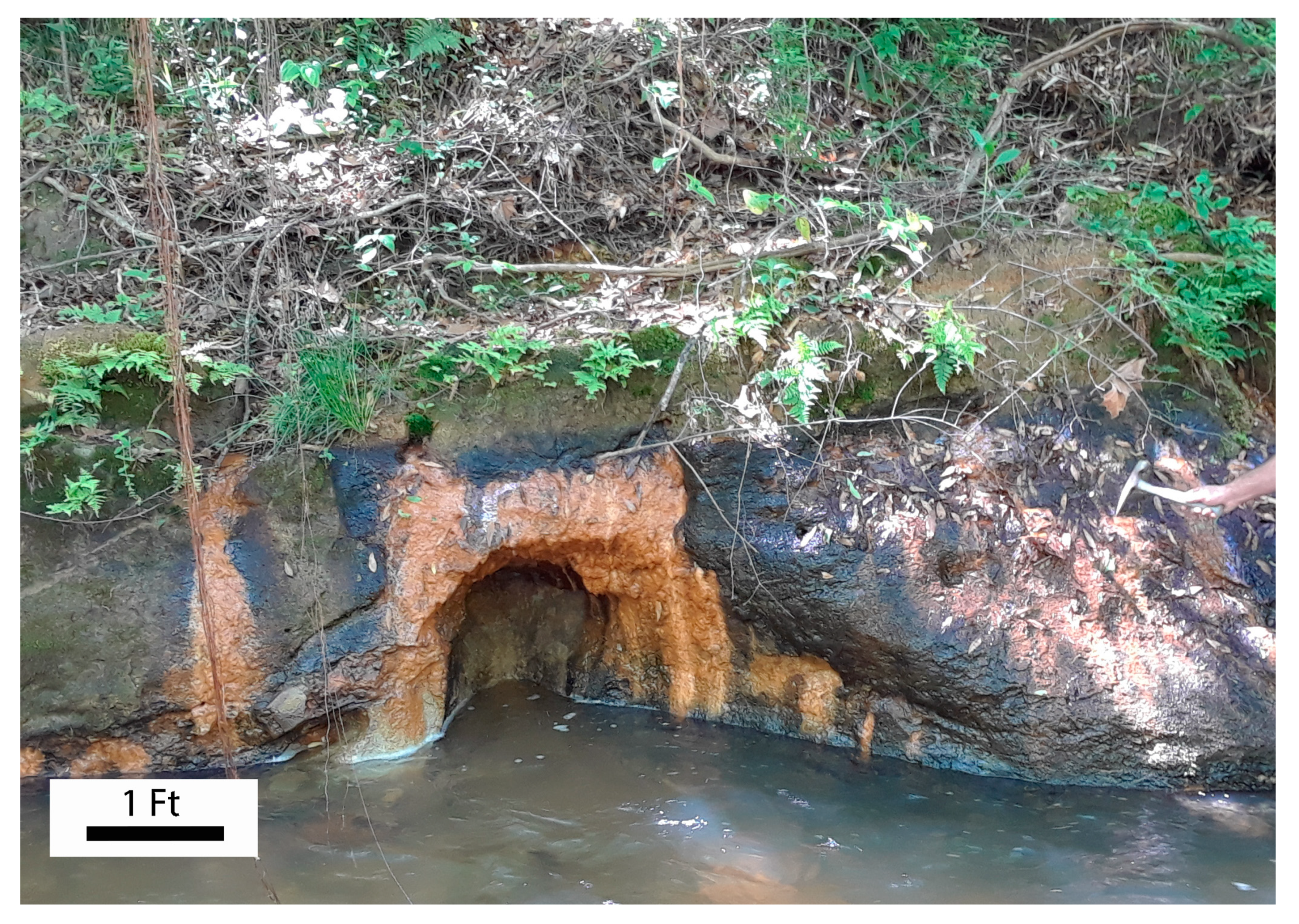 Minerals 10 00912 g006