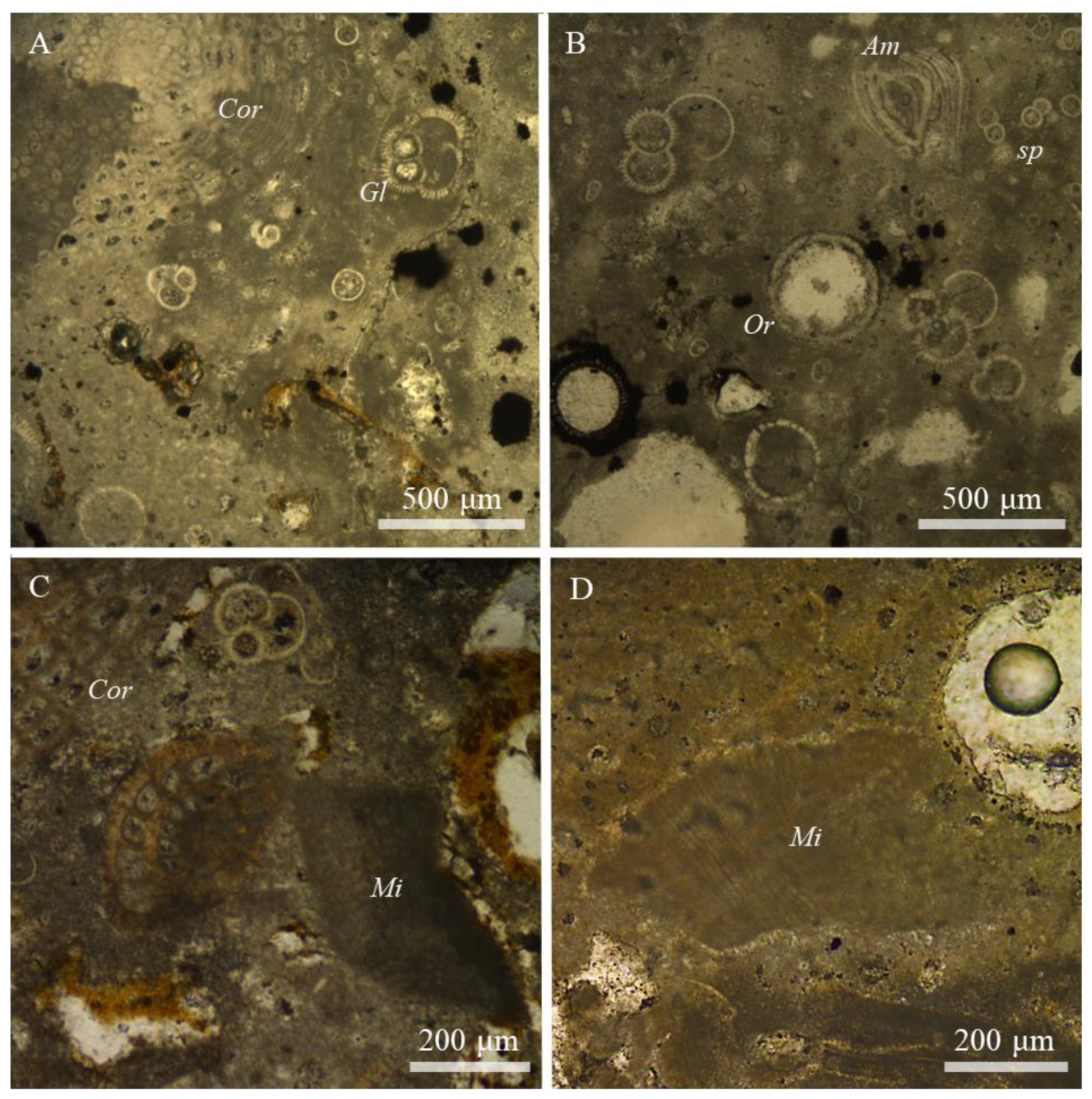 Minerals 10 01016 g002