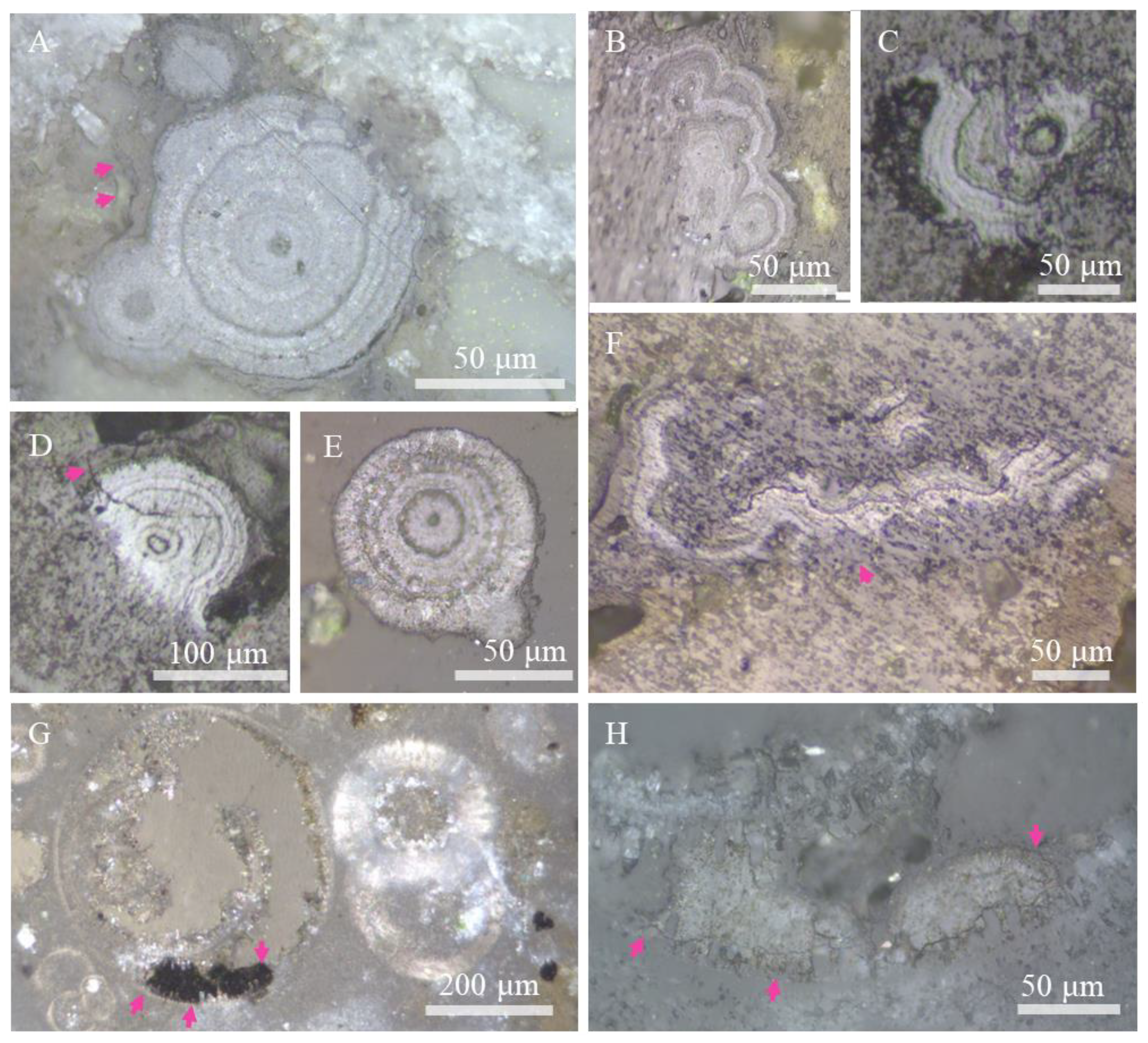 Minerals 10 01016 g003