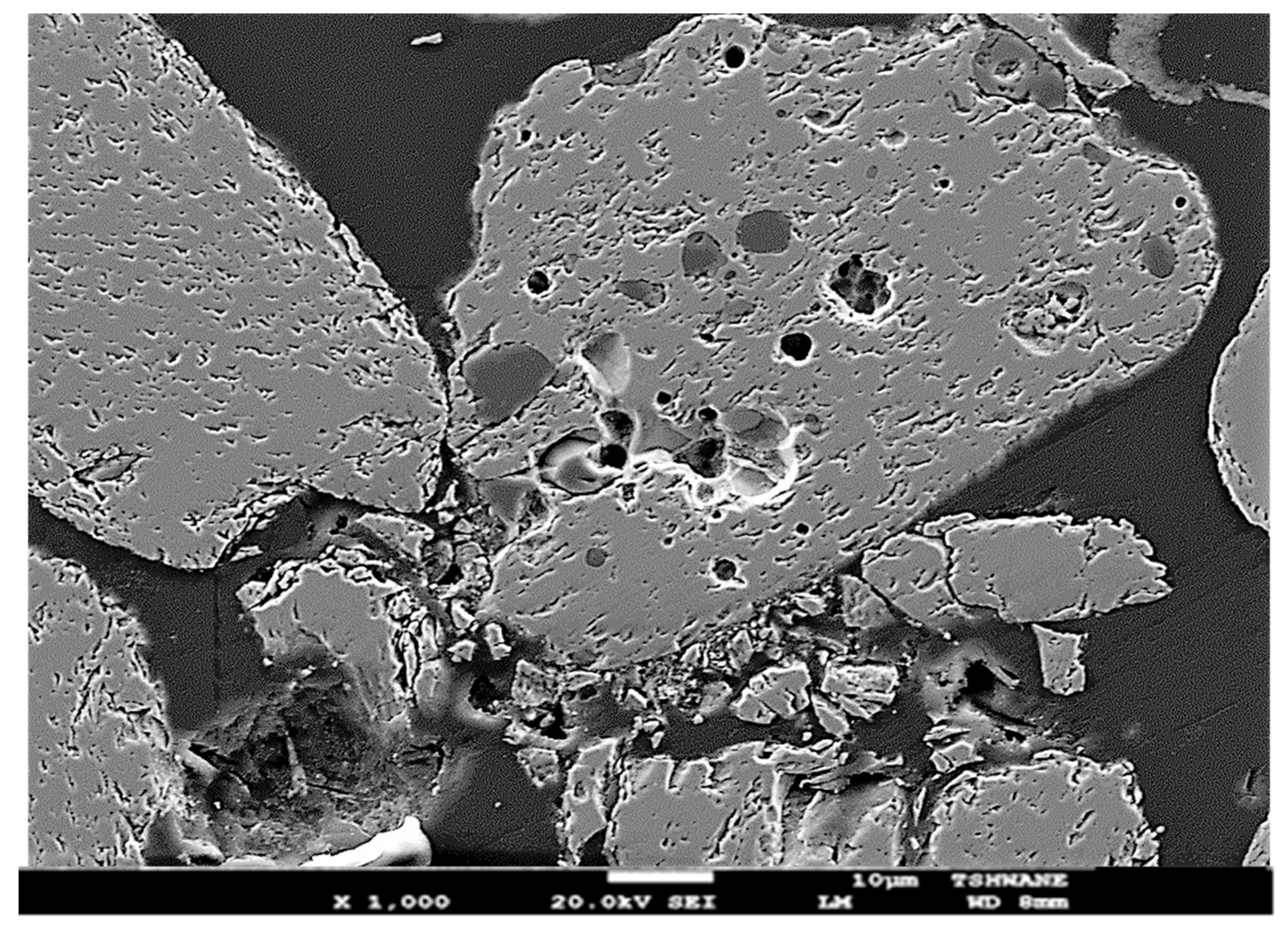 Minerals 10 01022 g005