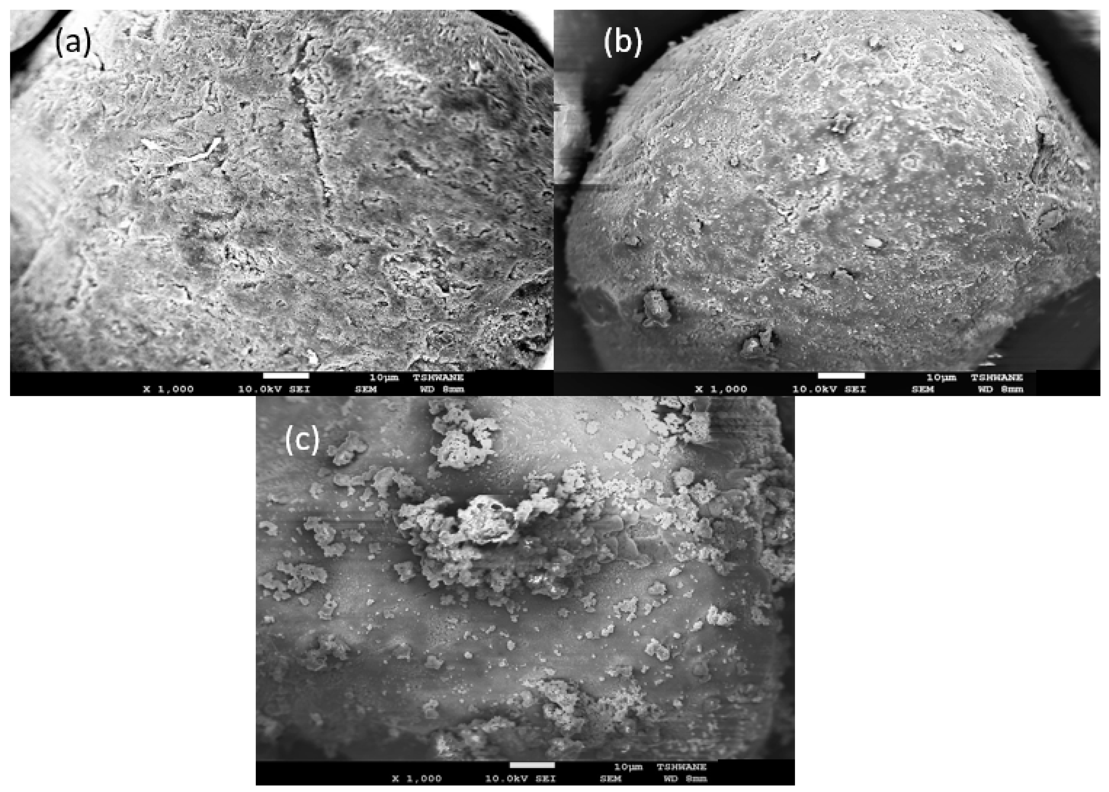 Minerals 10 01022 g016