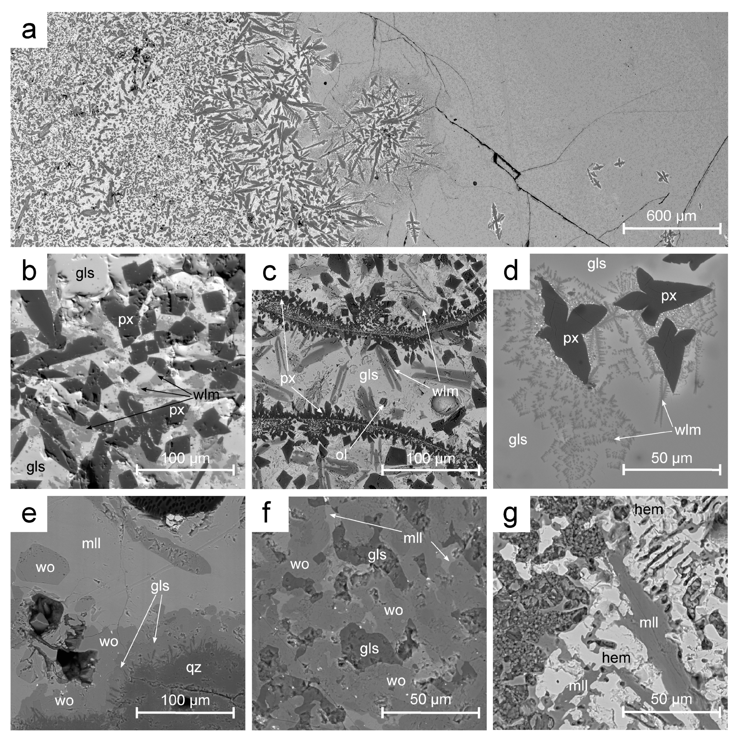 Minerals 10 01039 g004