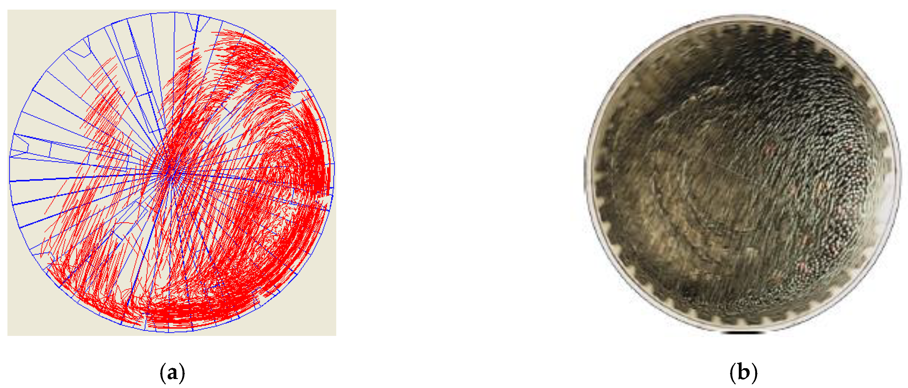 Minerals 10 01047 g004