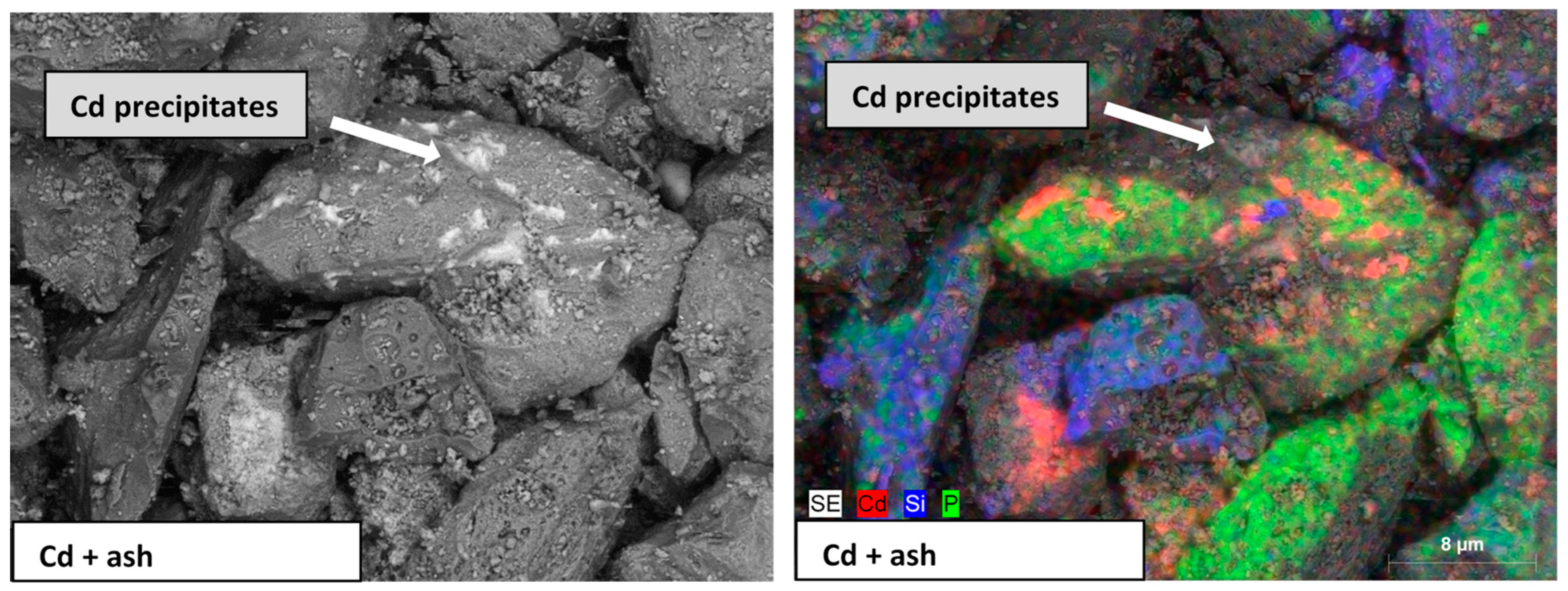 Minerals 10 01048 g011