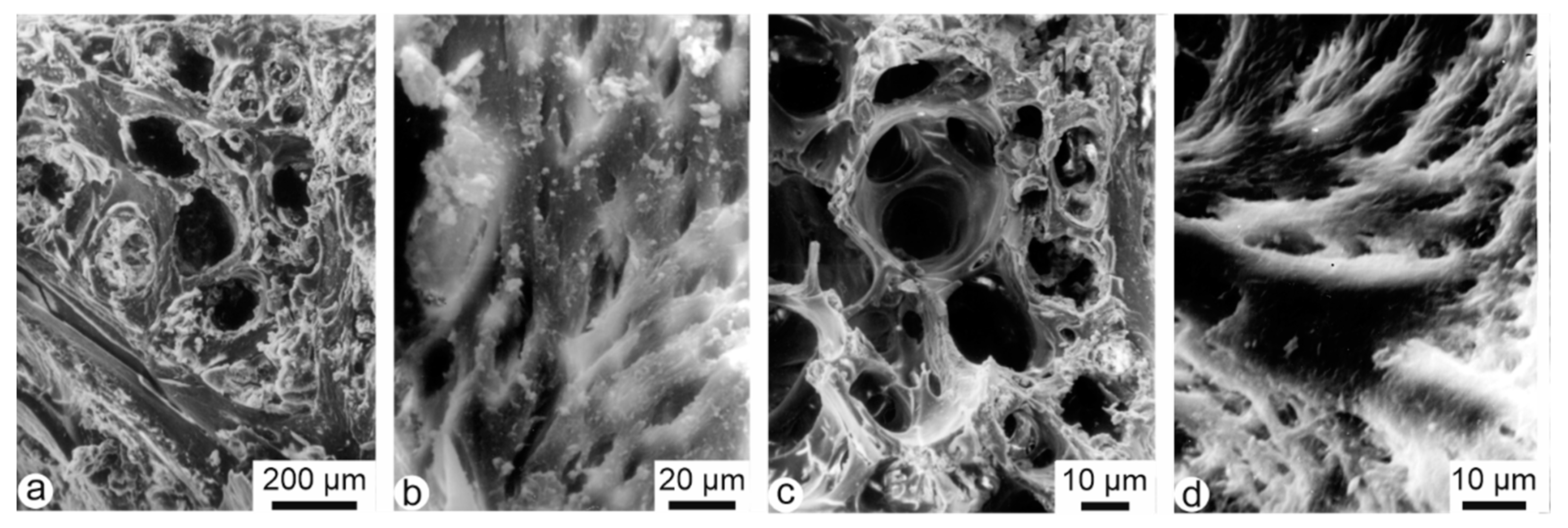 Minerals 10 01049 g002