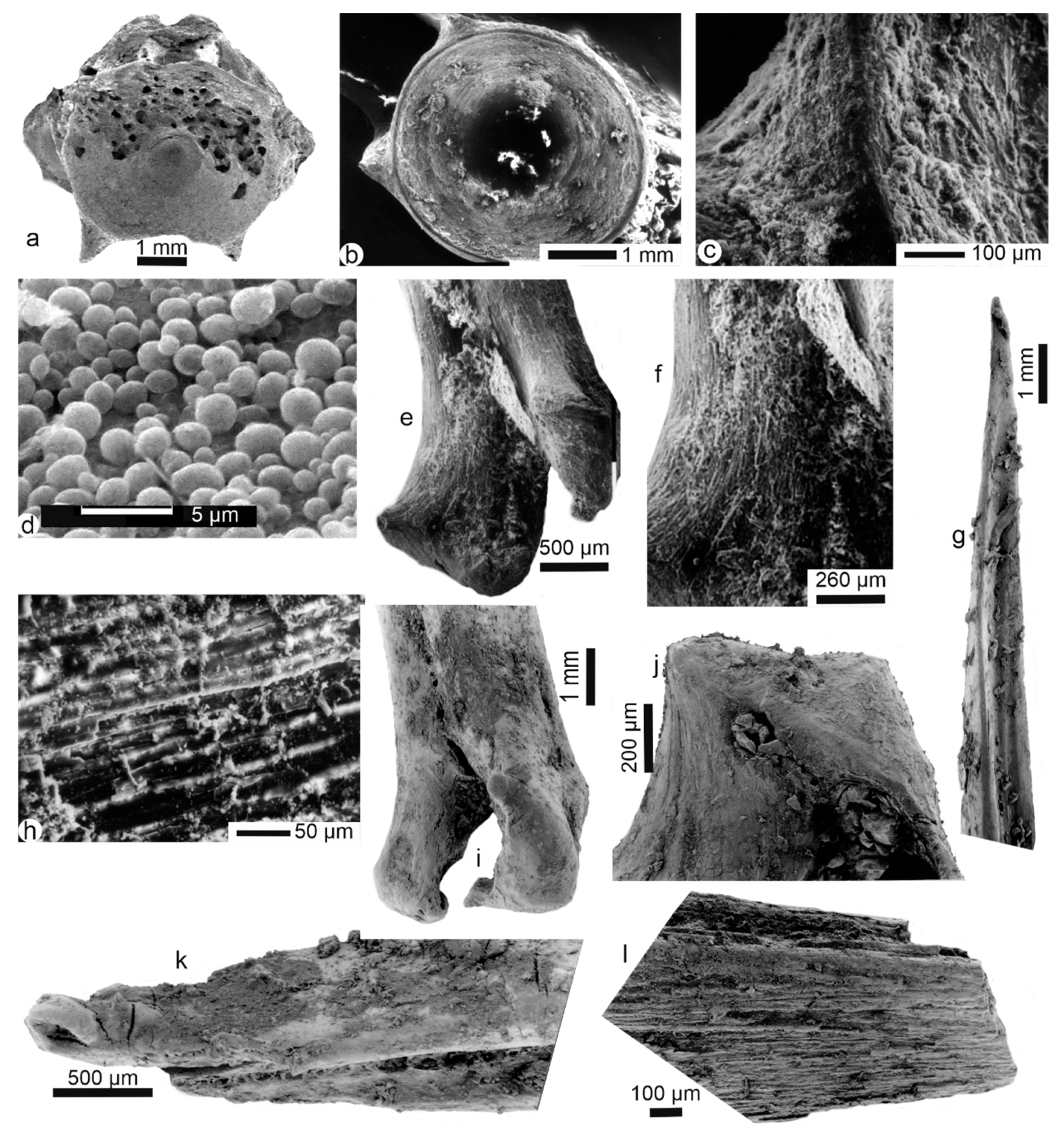 Minerals 10 01049 g003