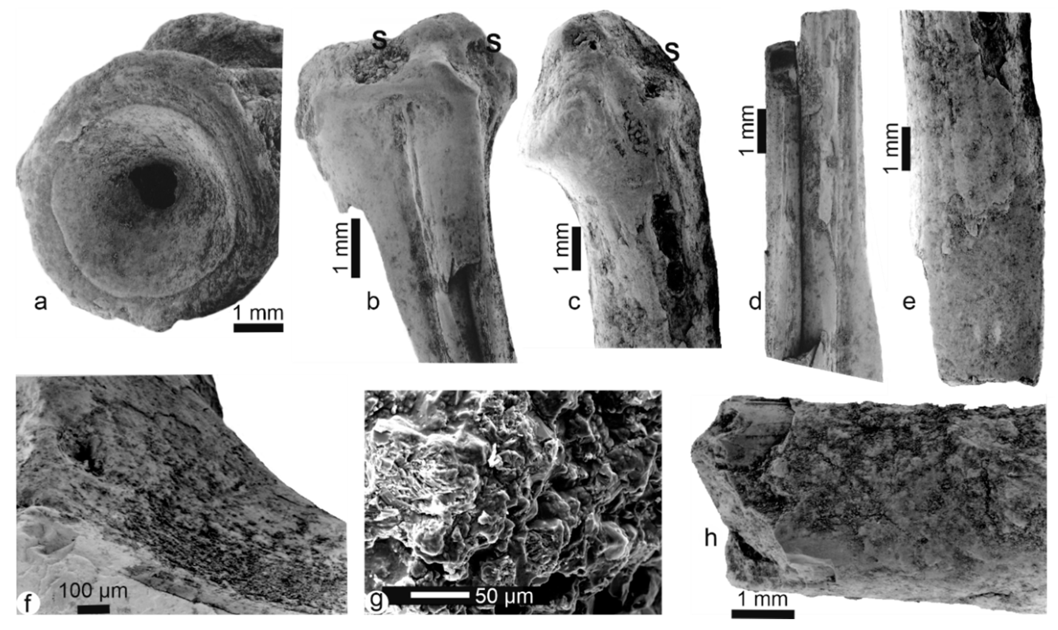Minerals 10 01049 g004