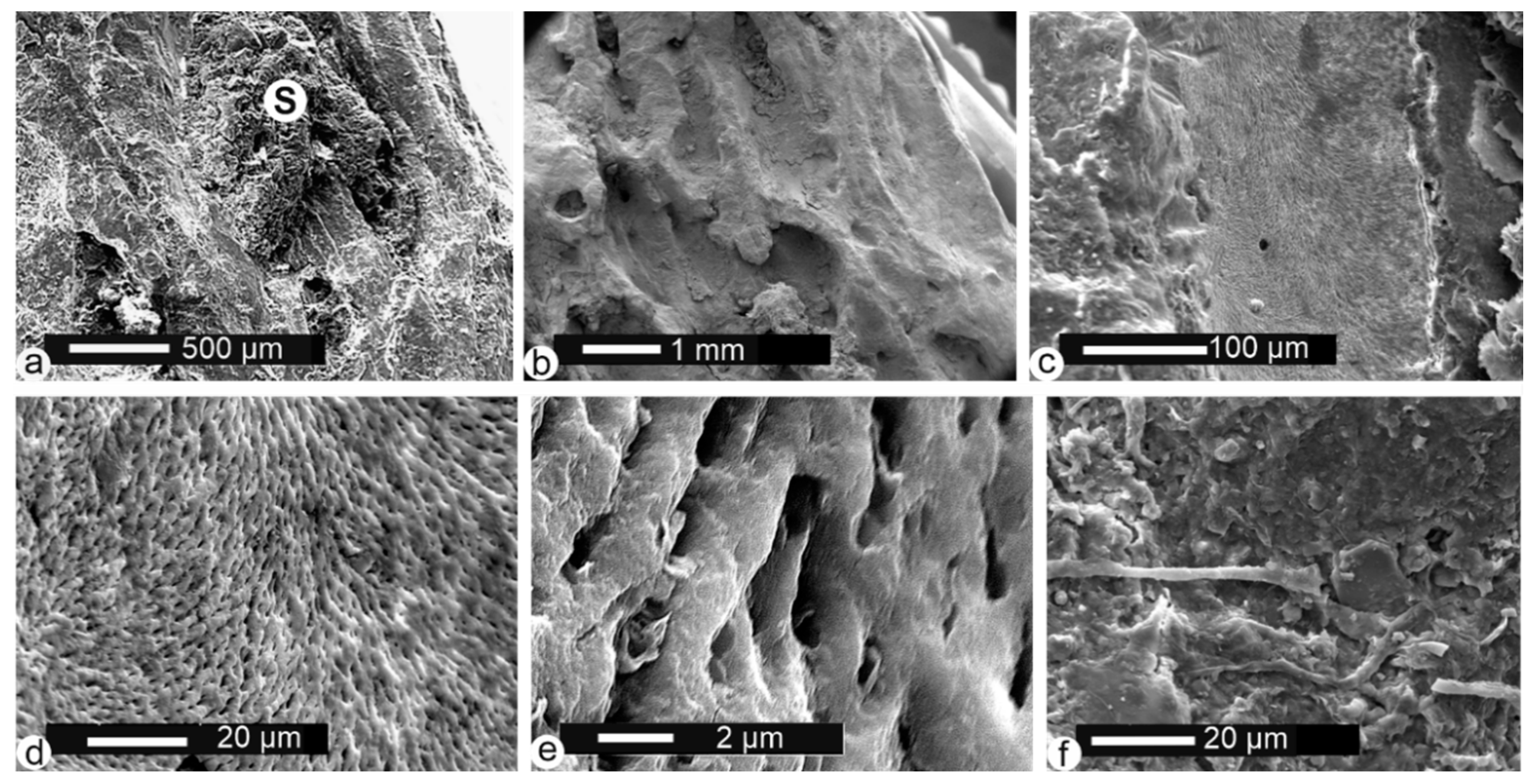Minerals 10 01049 g005