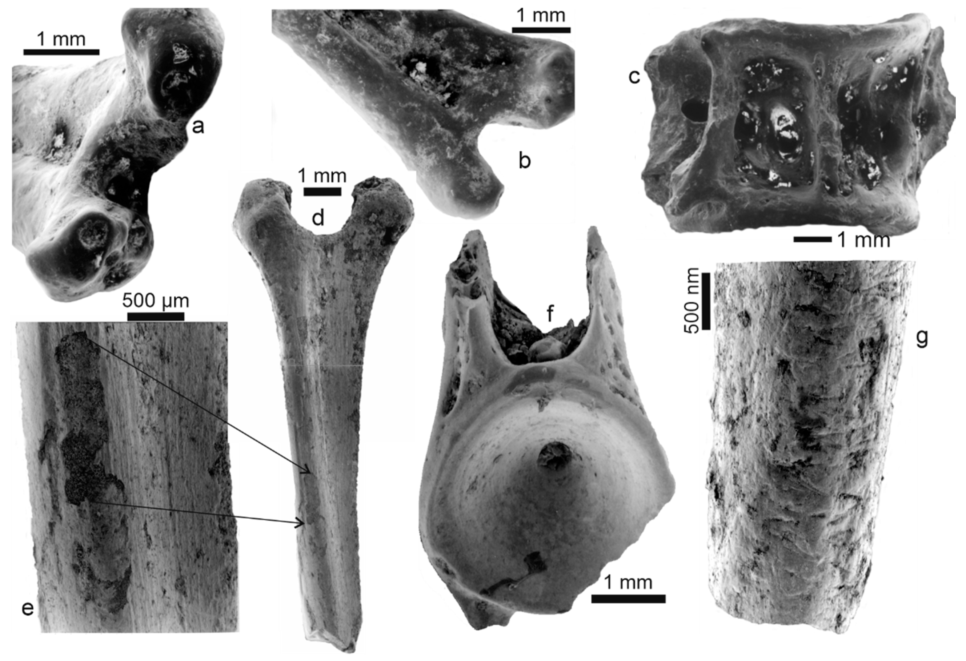 Minerals 10 01049 g006