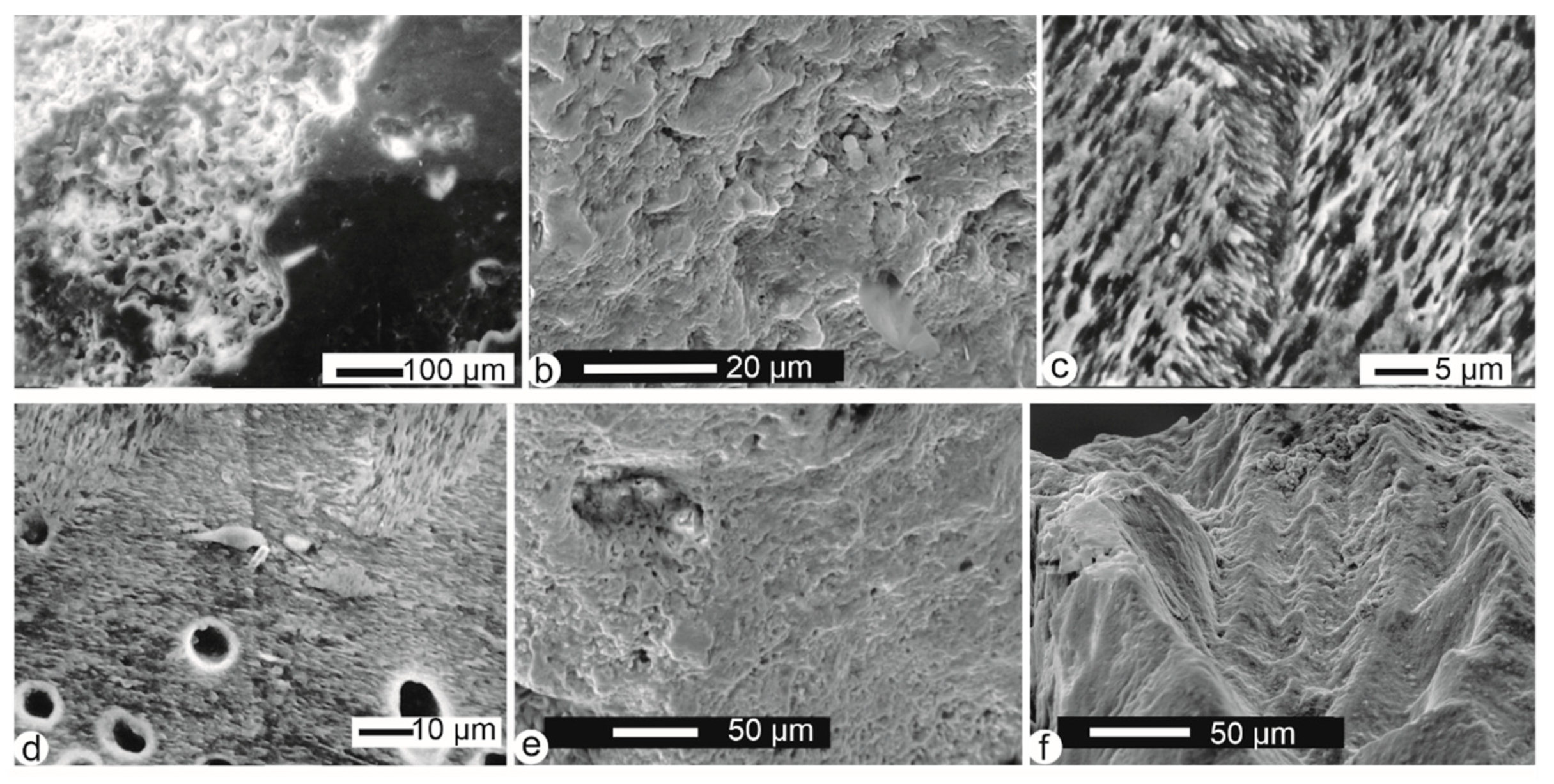 Minerals 10 01049 g007