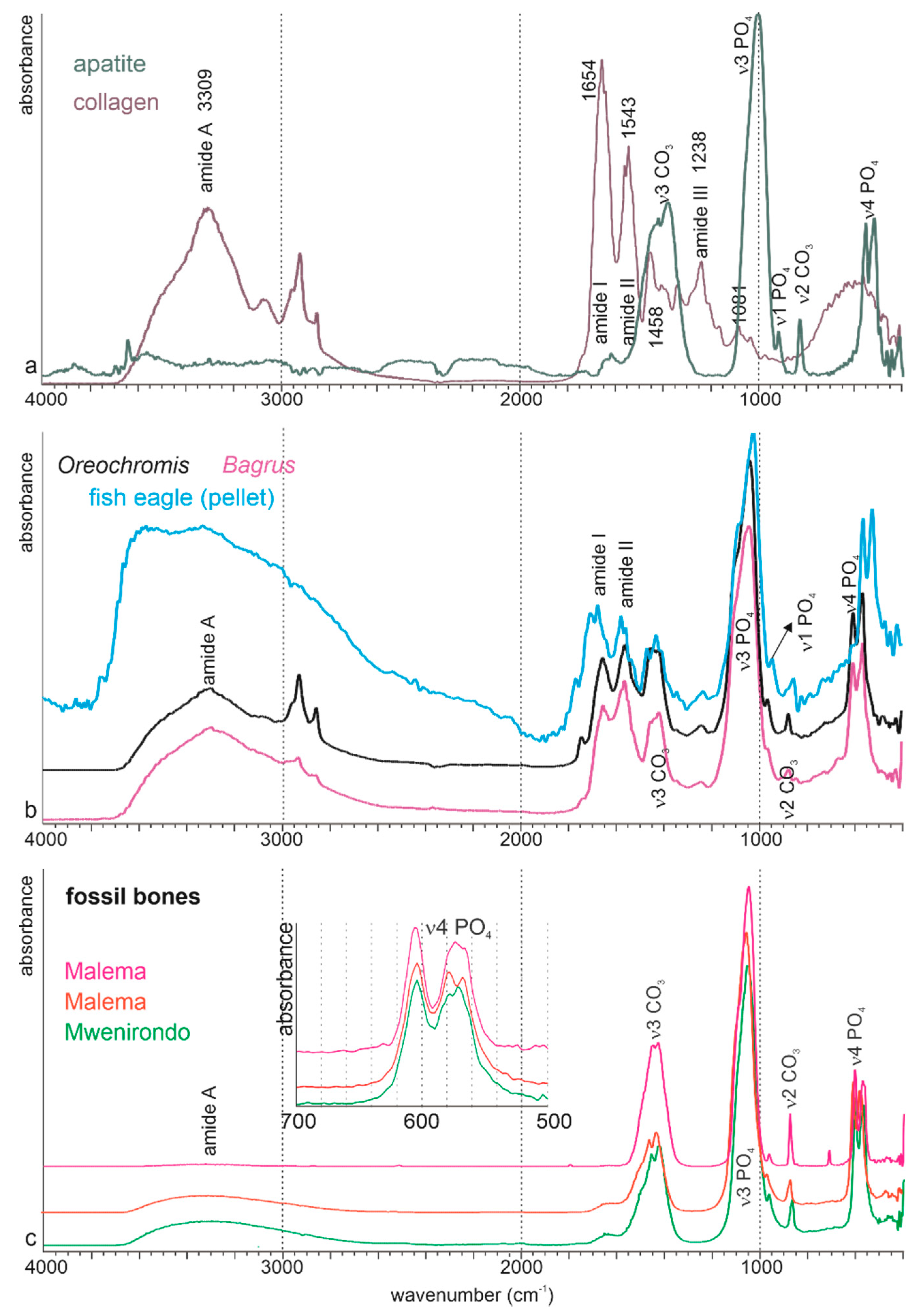 Minerals 10 01049 g008