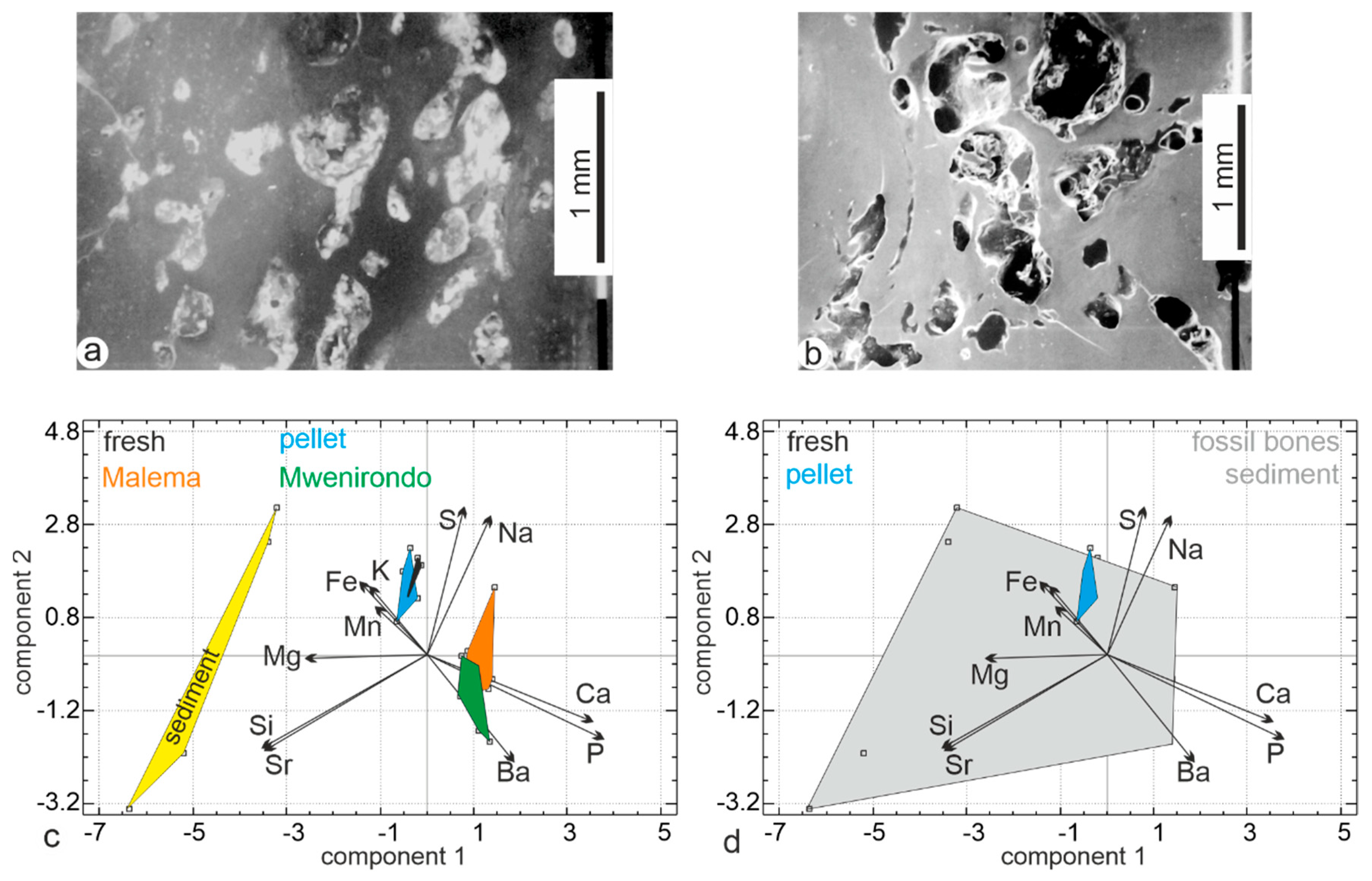 Minerals 10 01049 g012