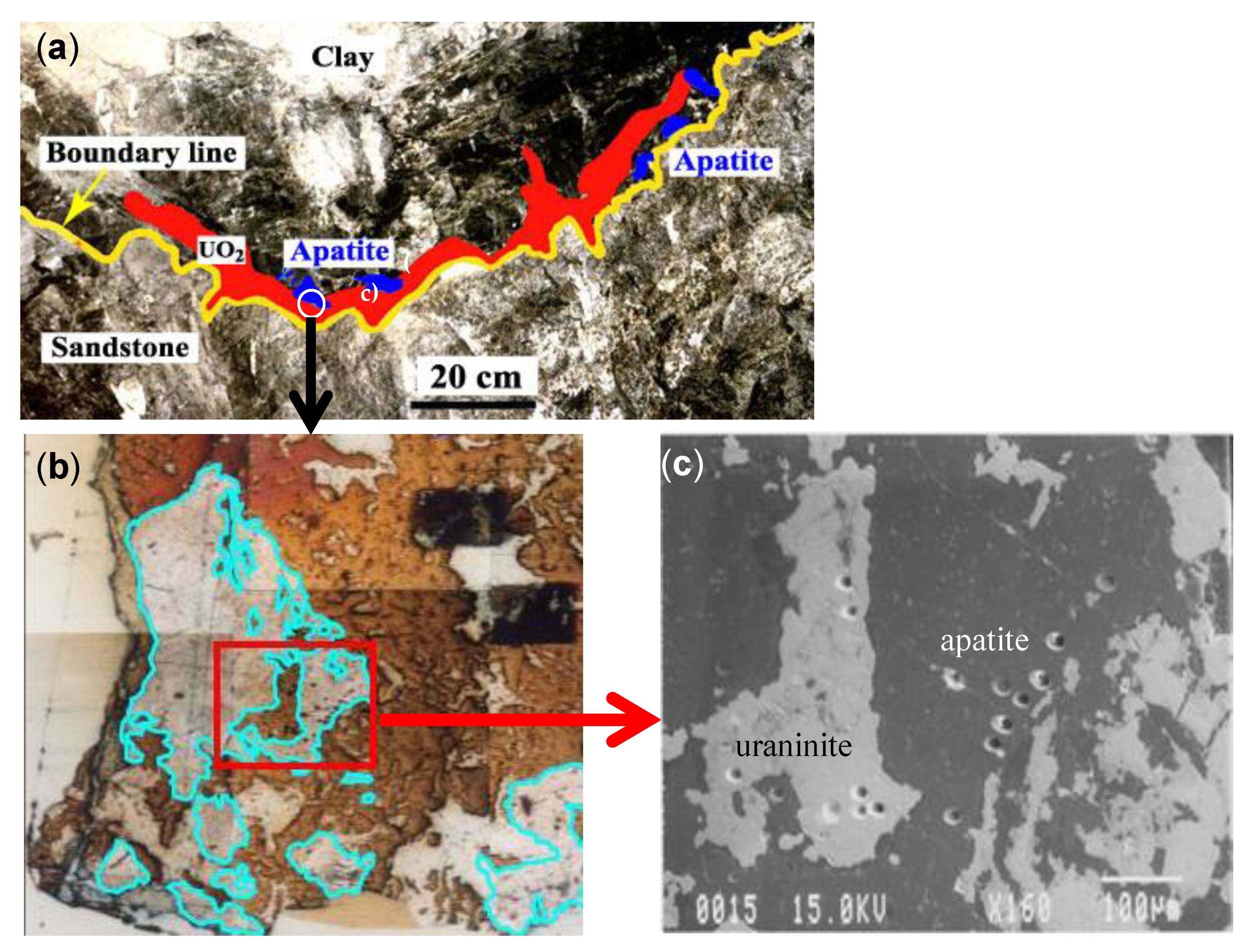 Minerals 10 01060 g003 Minerals 10 01060 g003