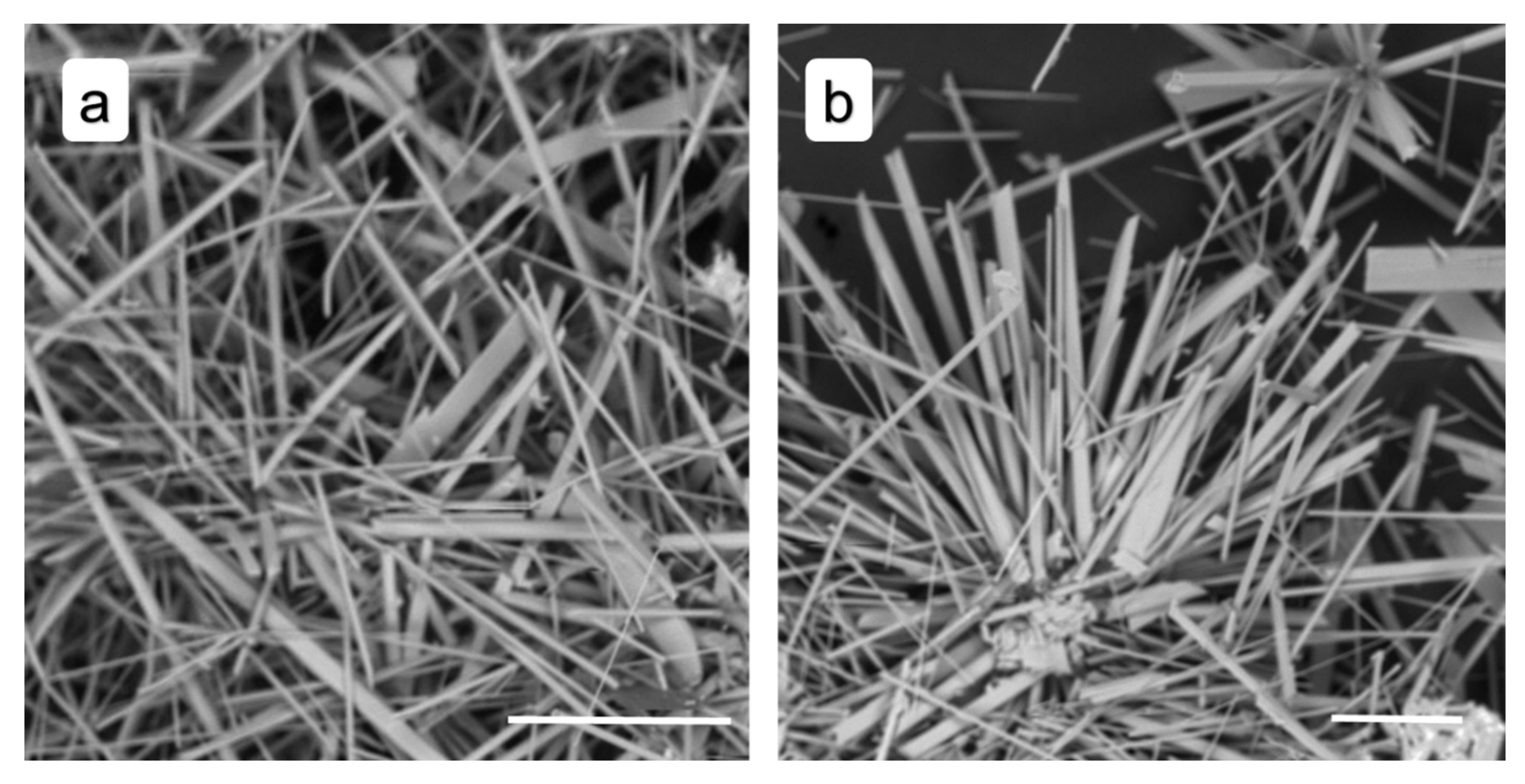 Minerals 10 01083 g004