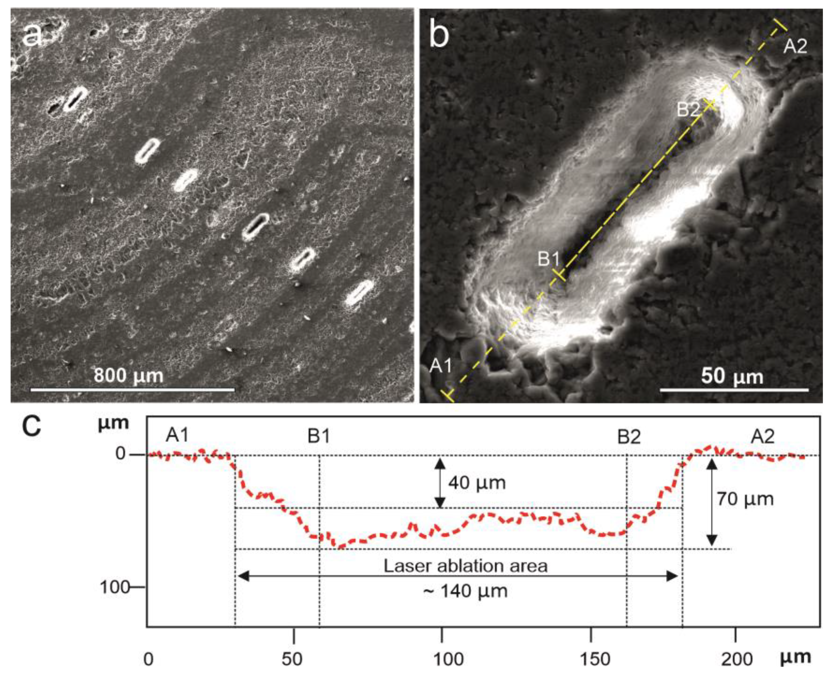 Minerals 10 01106 g003