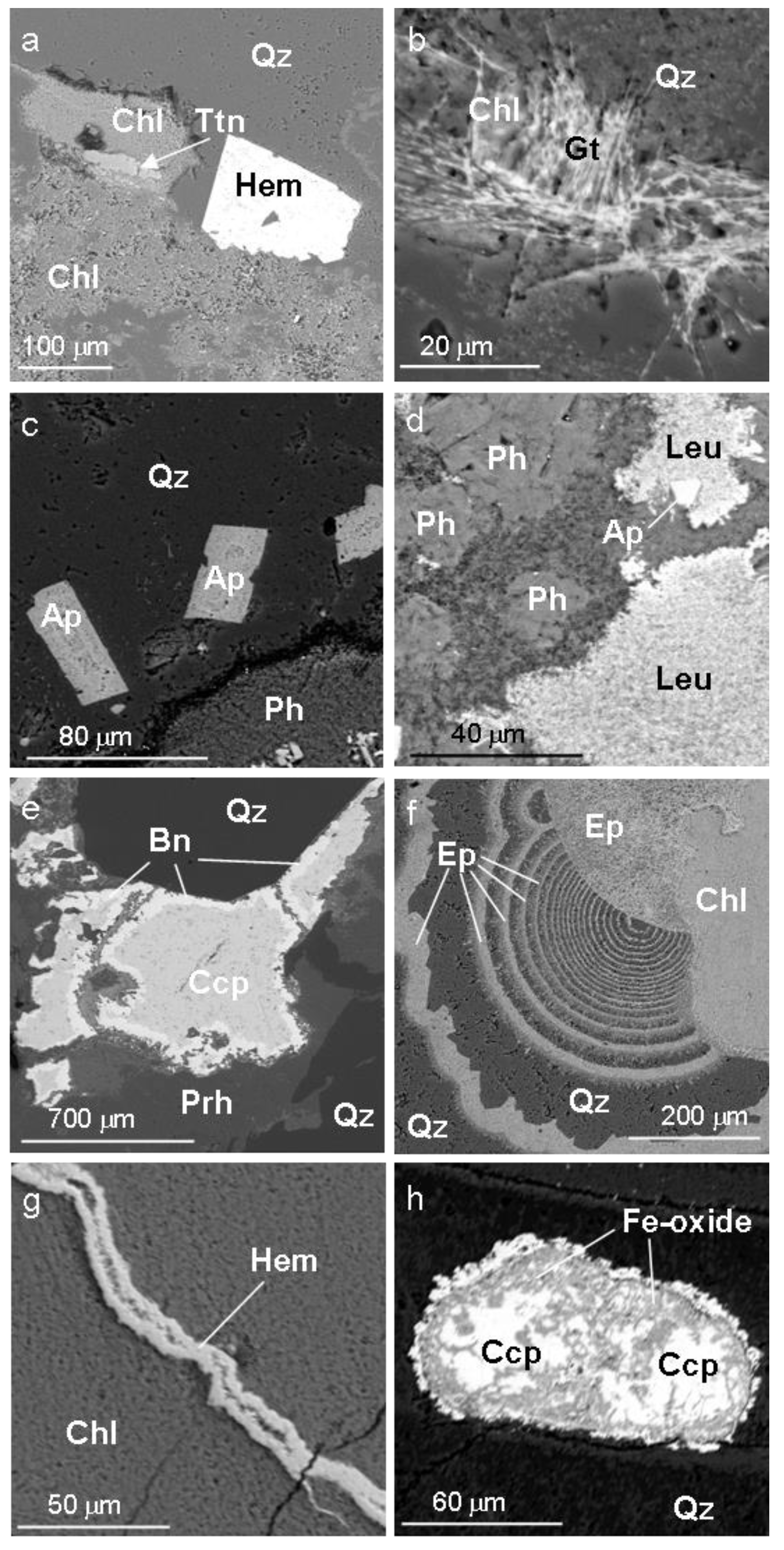 Minerals 10 01106 g008
