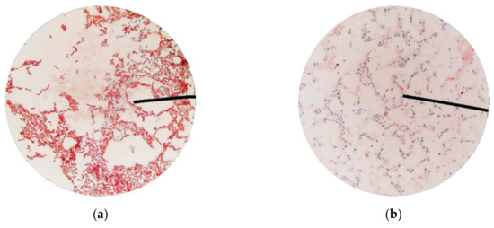 Minerals 10 01114 g0a1