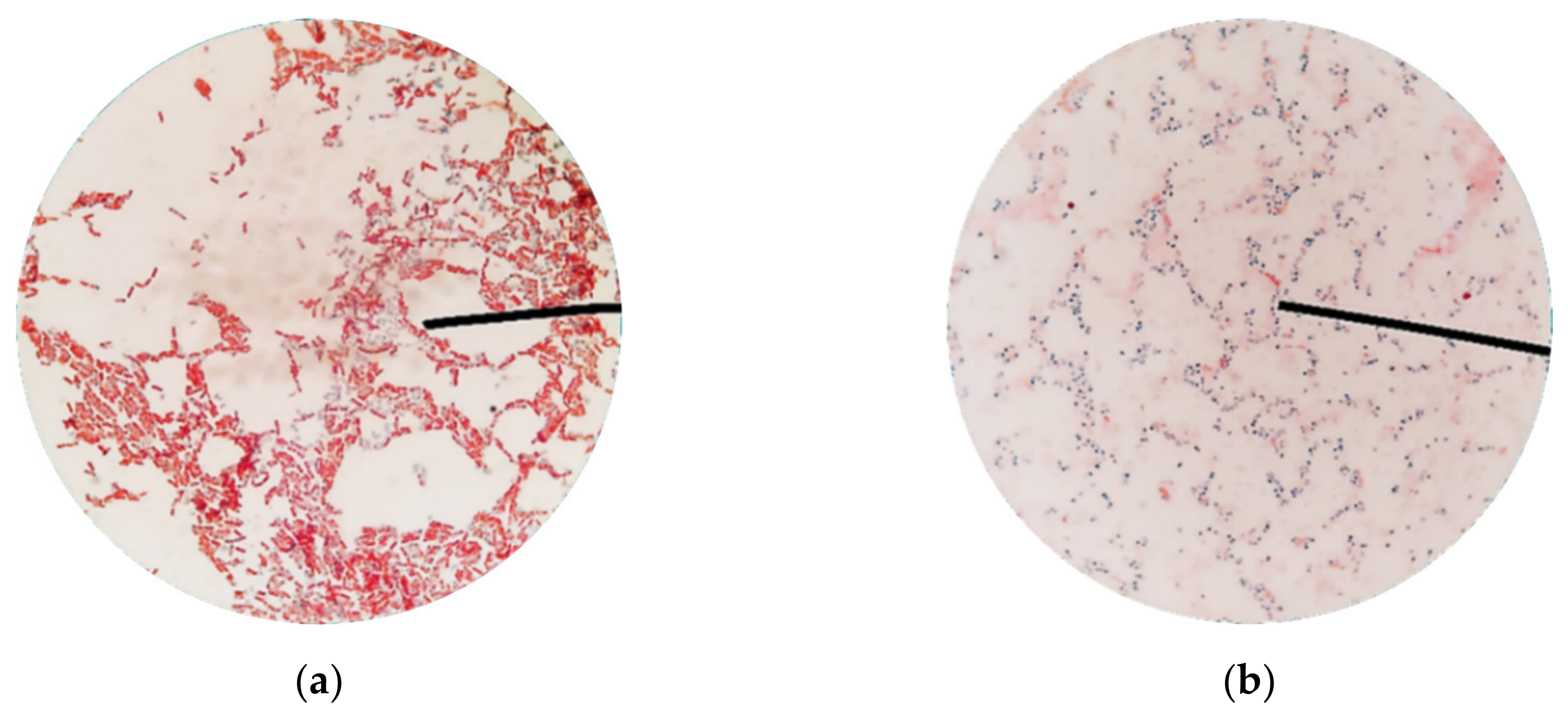 Minerals 10 01114 g0a1