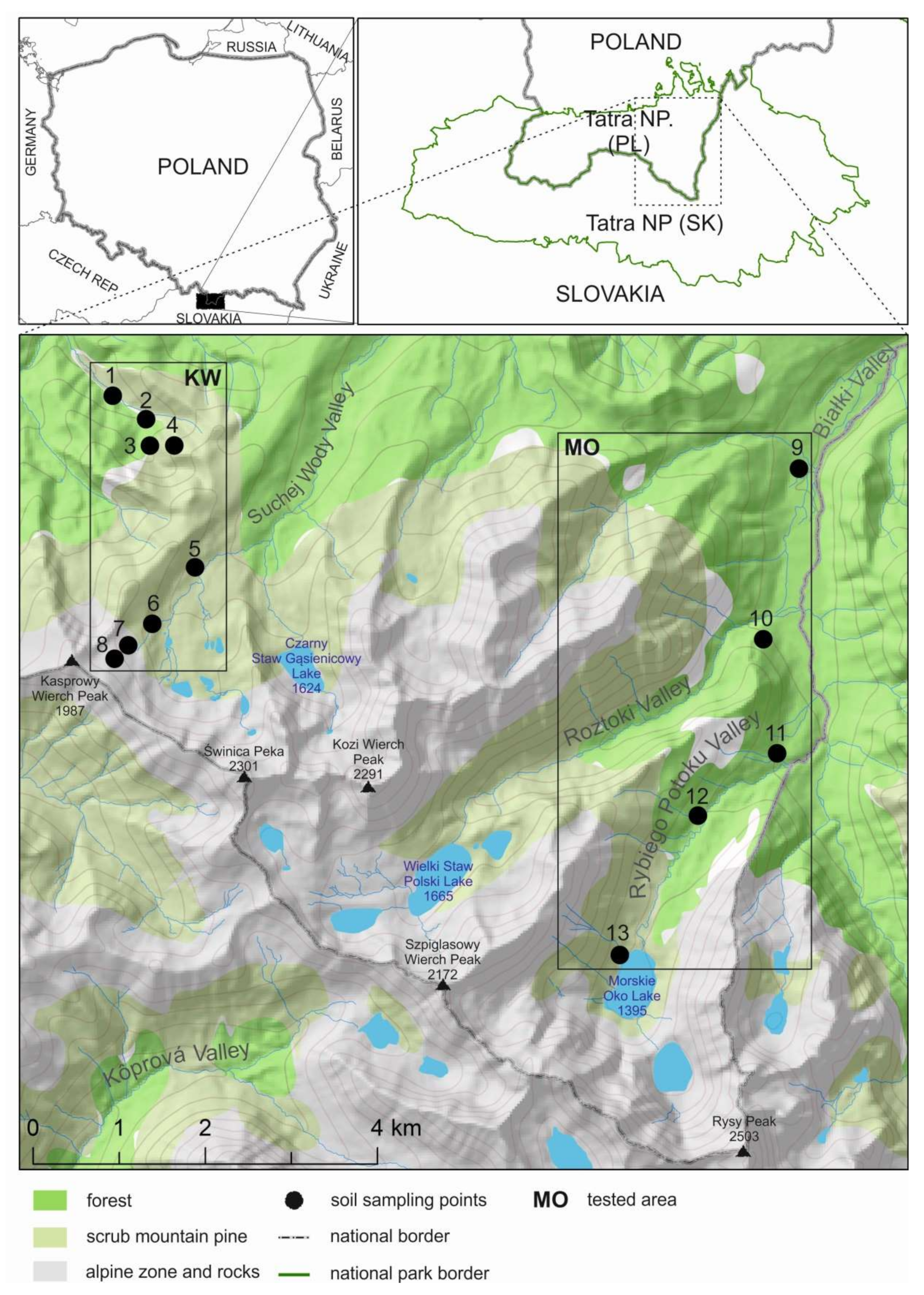 Minerals 10 01120 g001